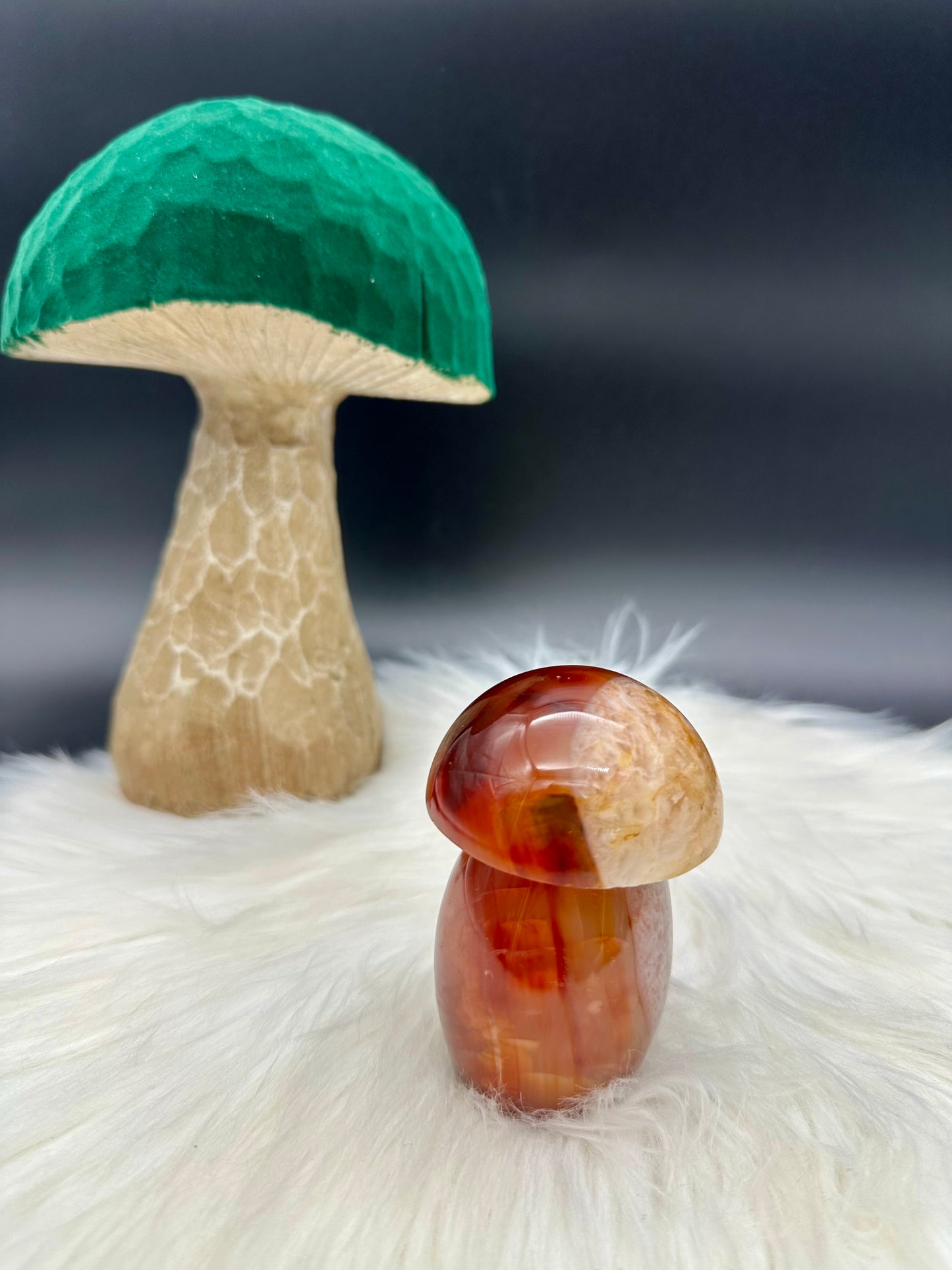 Karneol Pilz