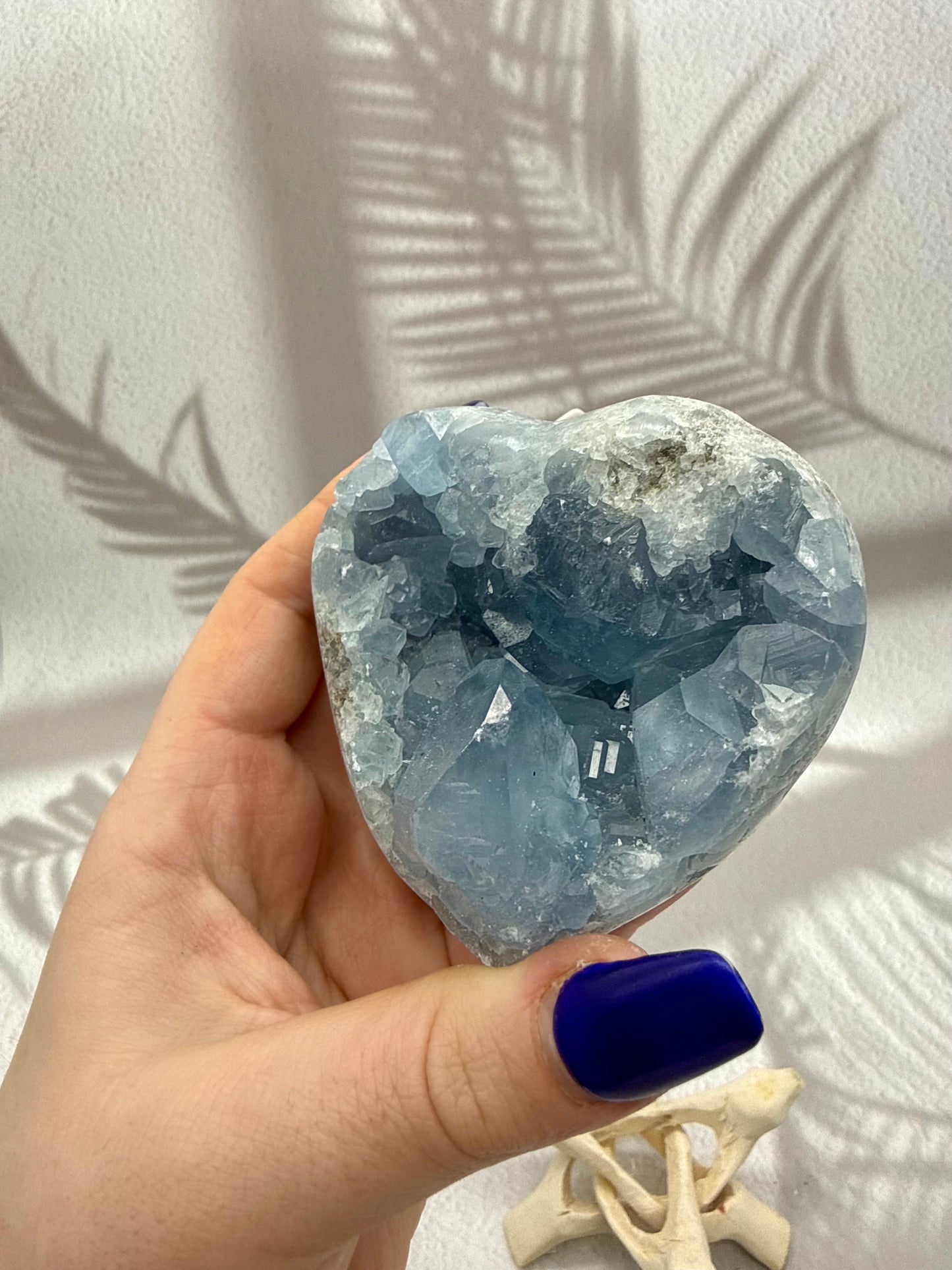 Coelestin Herz Druse IV