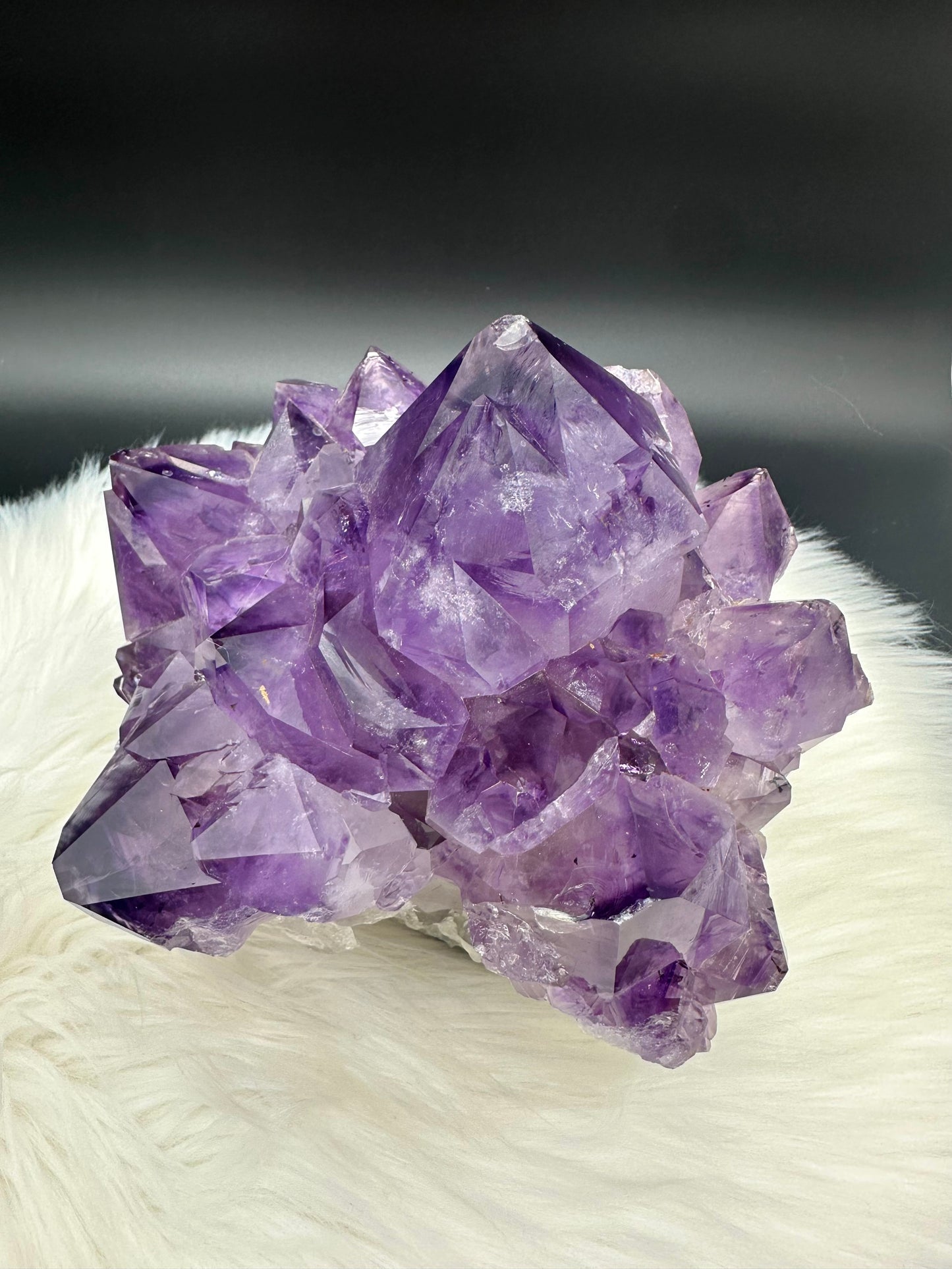 Amethyst Cluster Stück II - groß