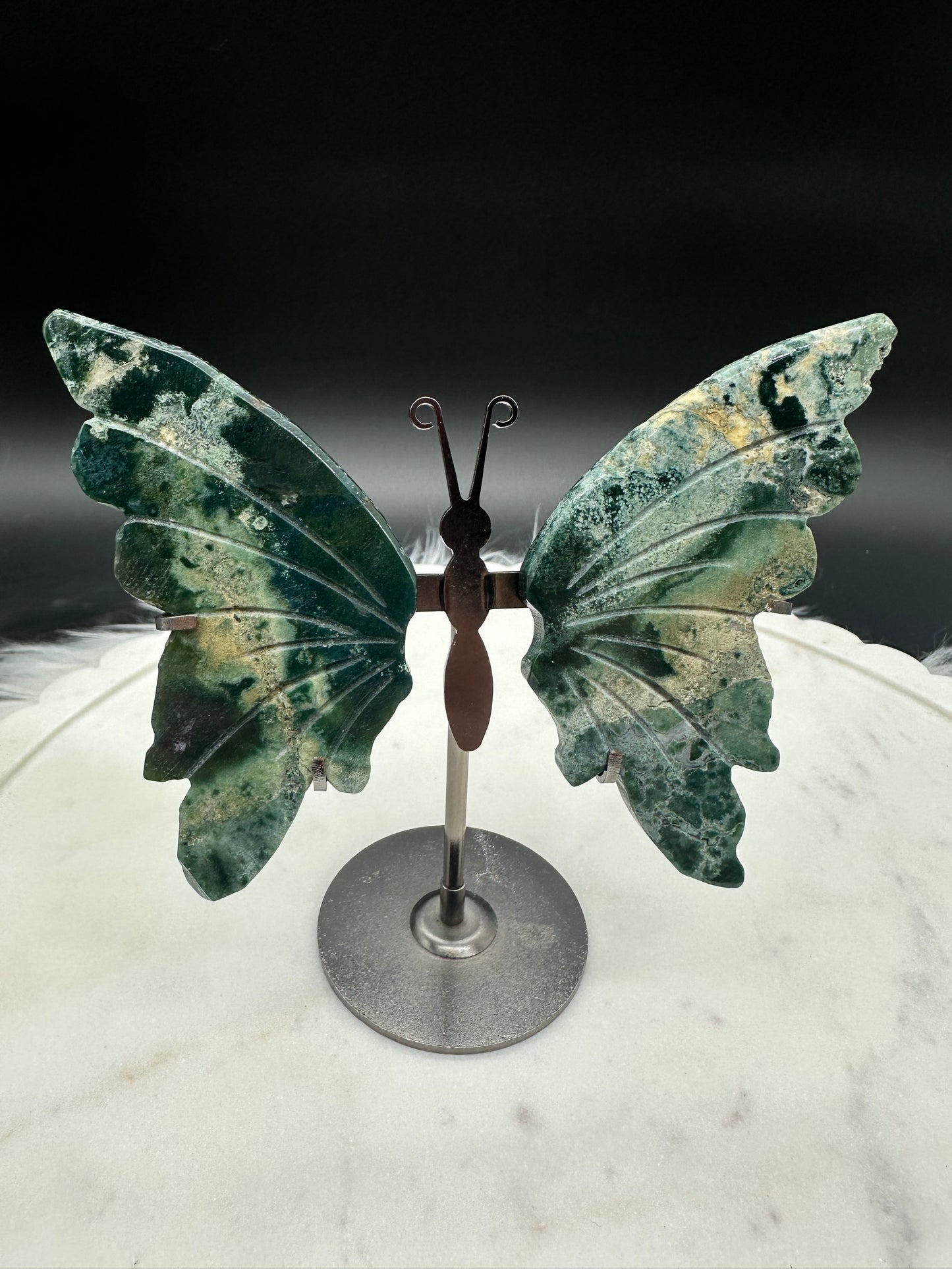 Moosachat Schmetterling