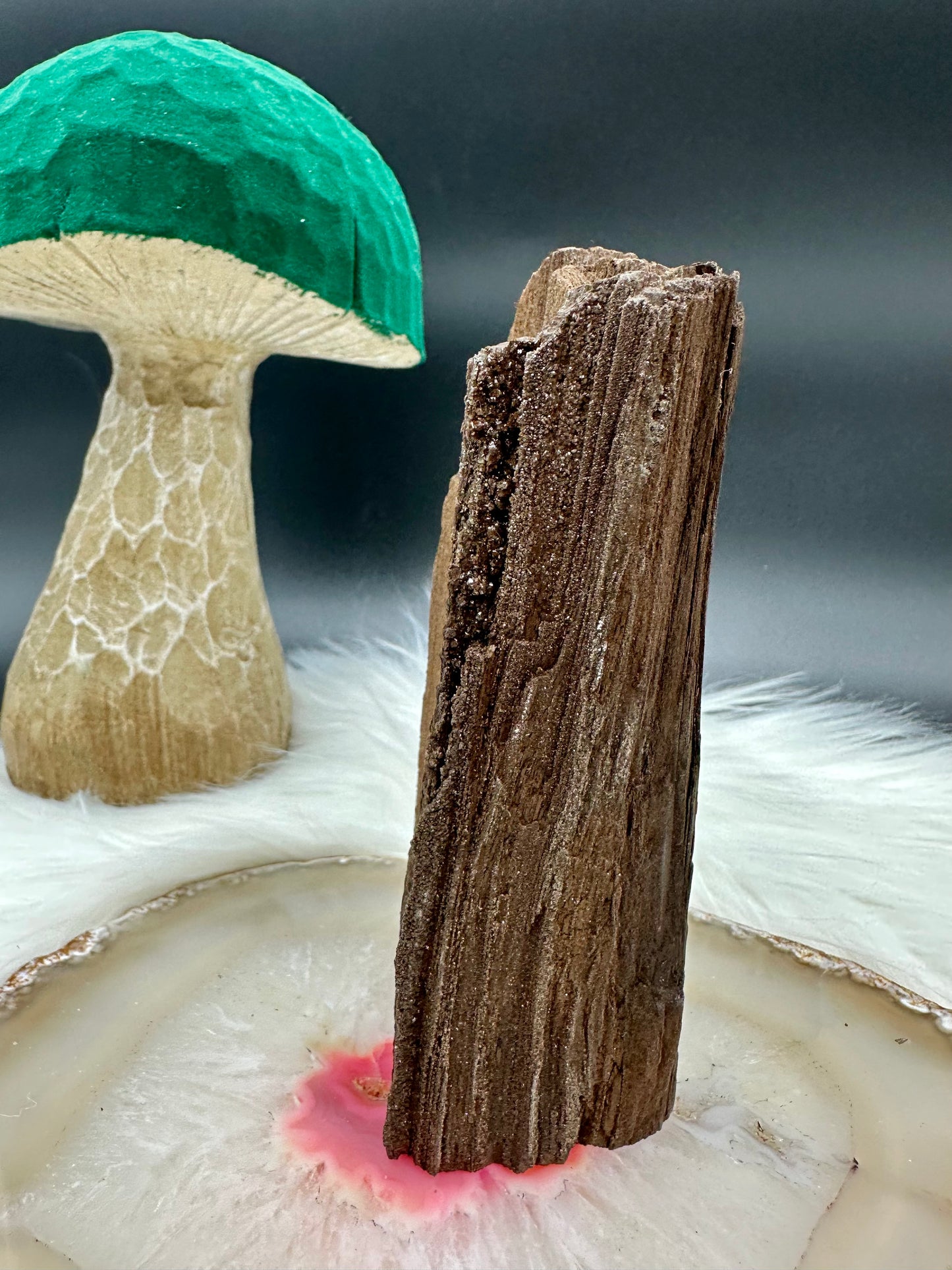 Versteinertes Holz - Feenholz