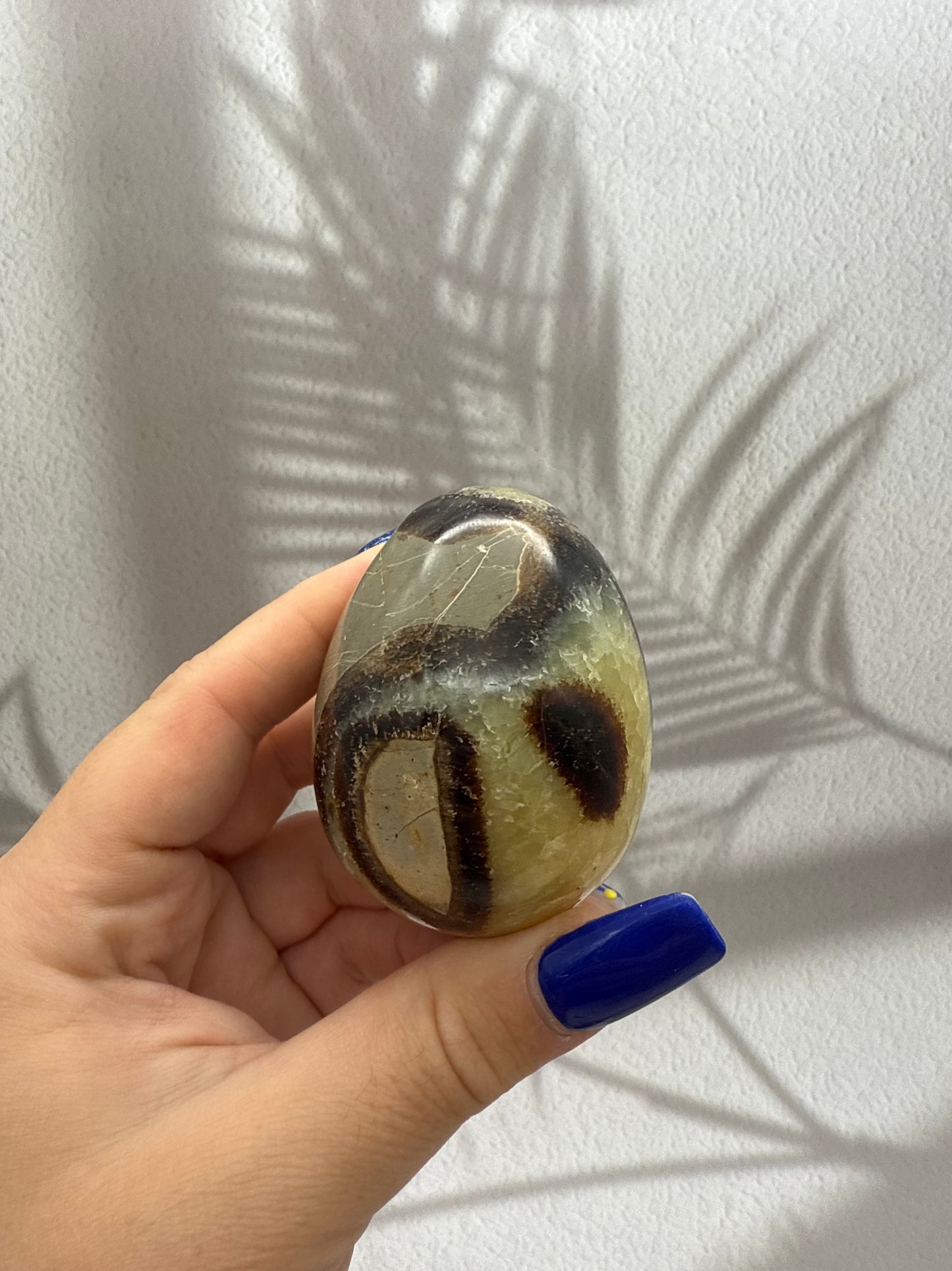 Septarie Eier