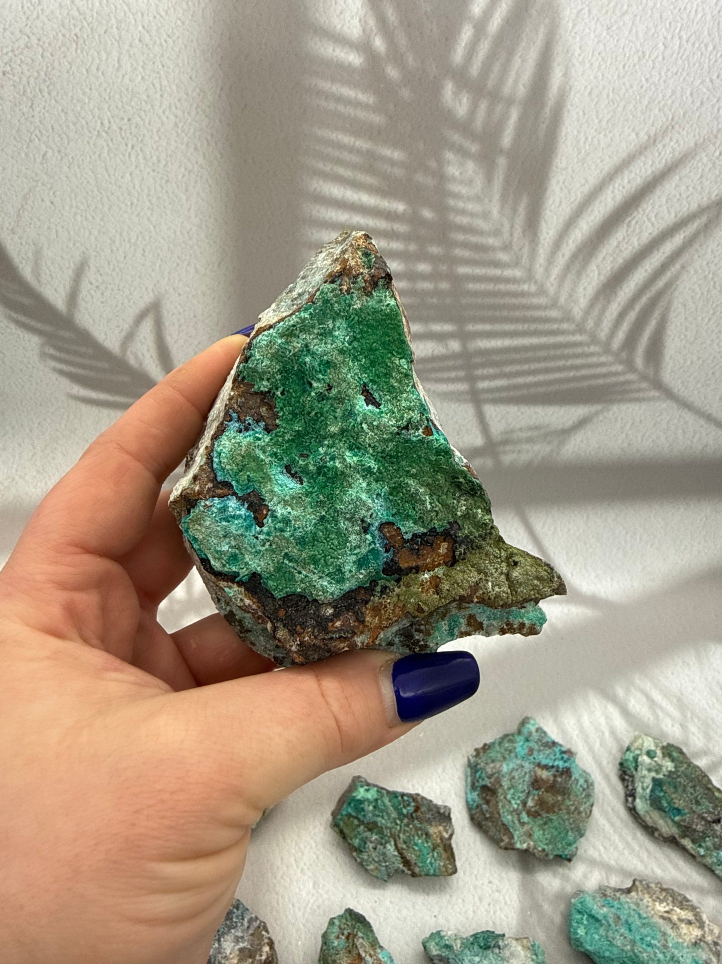 Chrysokoll Rohstücke Rarität