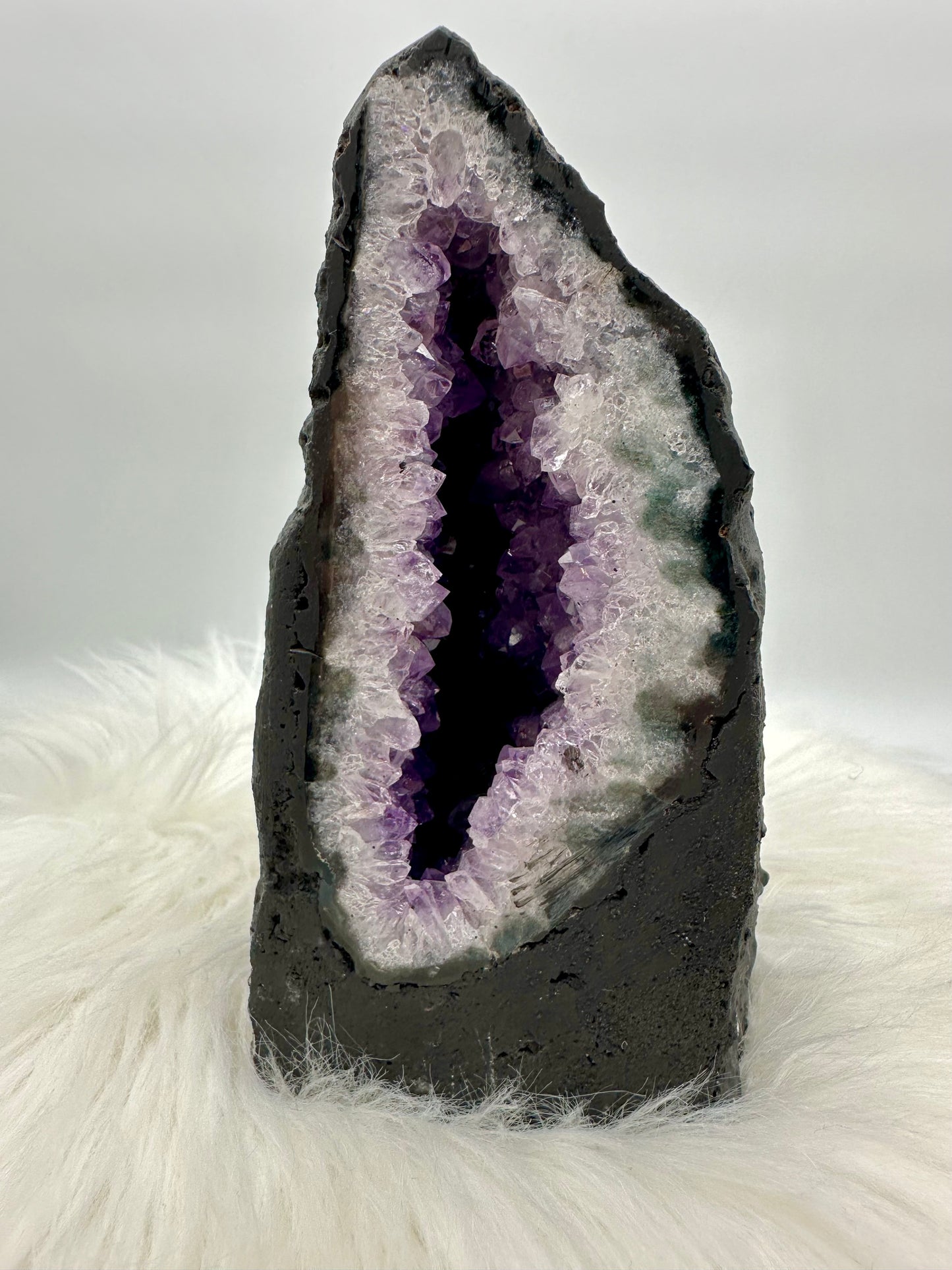 Amethystdruse aus Brasilien