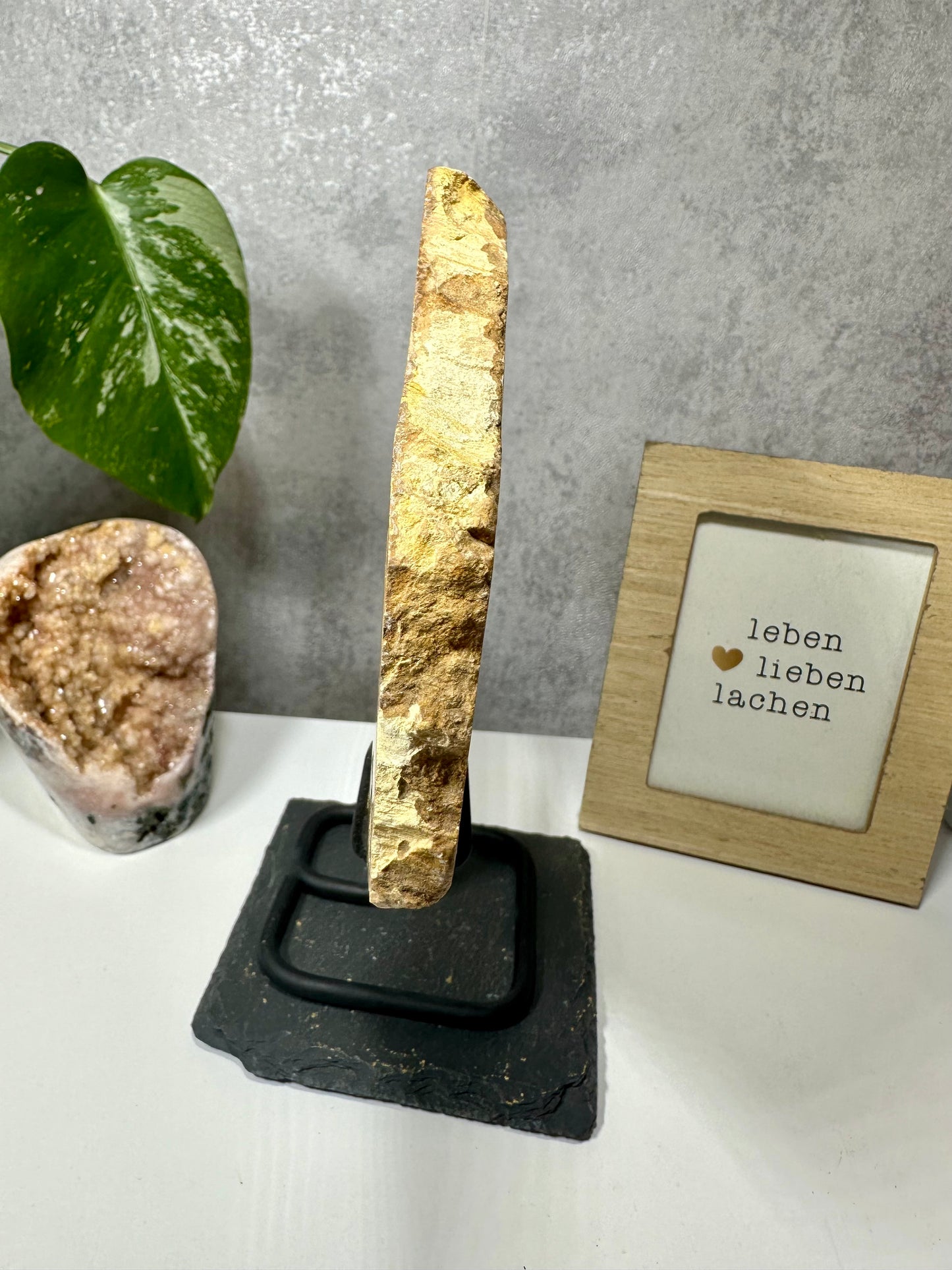 Versteinertes Holz auf Metallständer