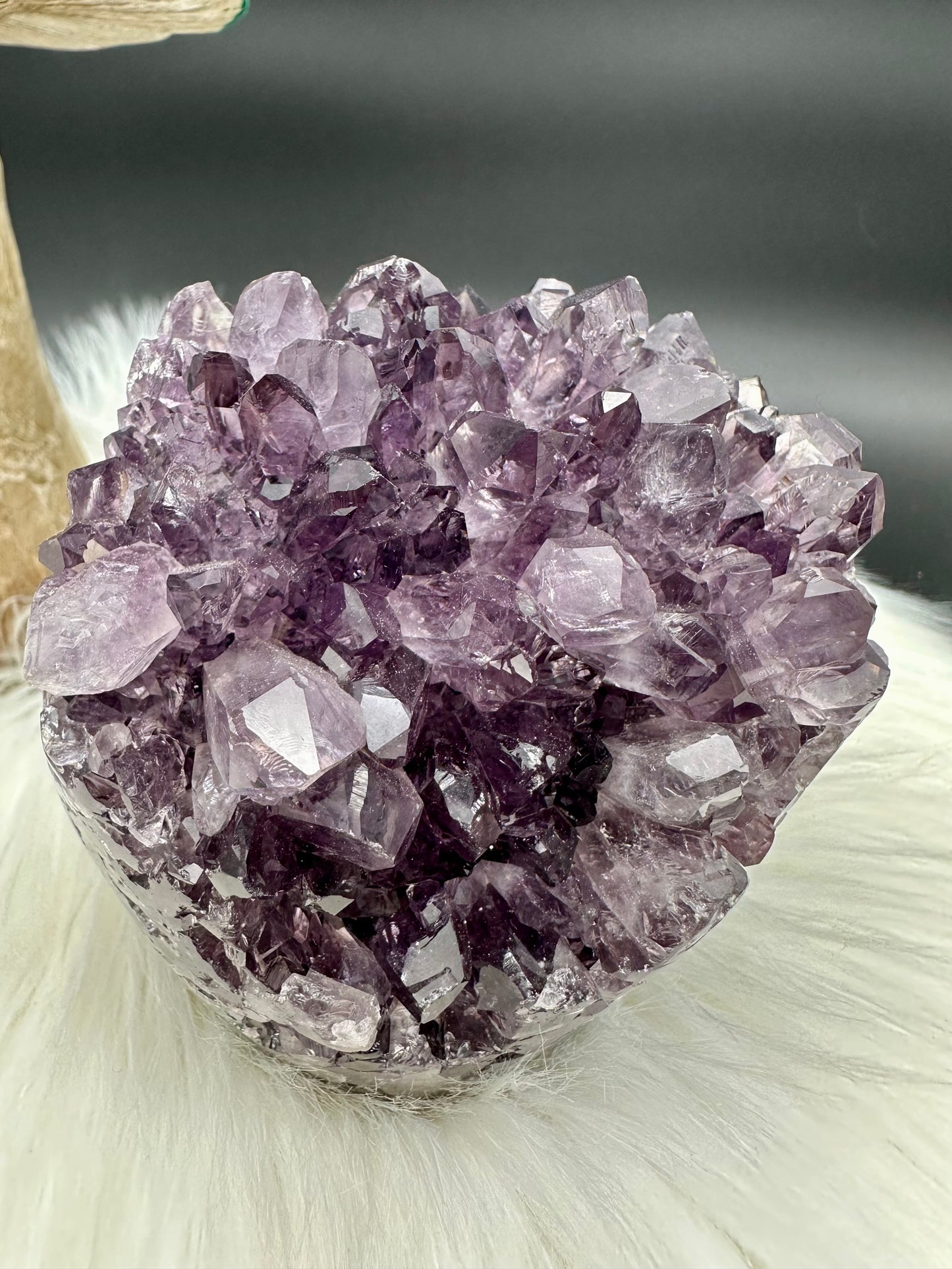 Amethyst Druse (Igel)