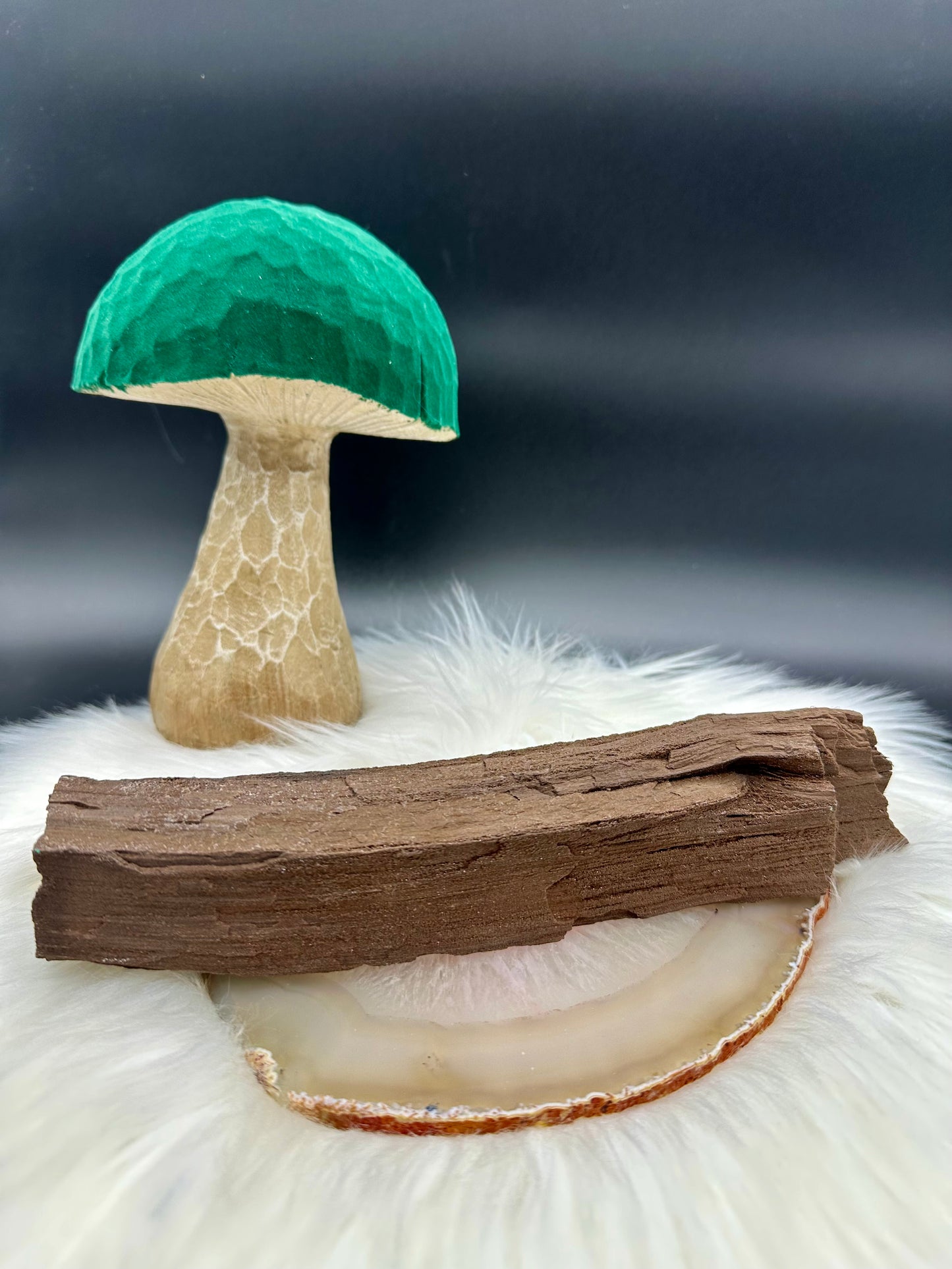 Feenholz - Versteinertes Holz