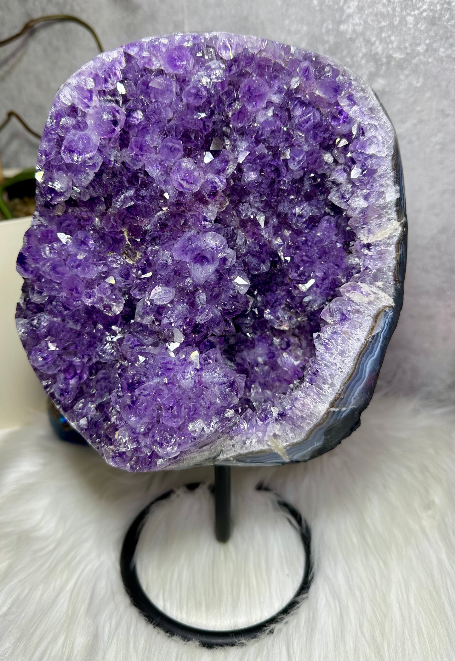 Amethystdruse auf Ständer