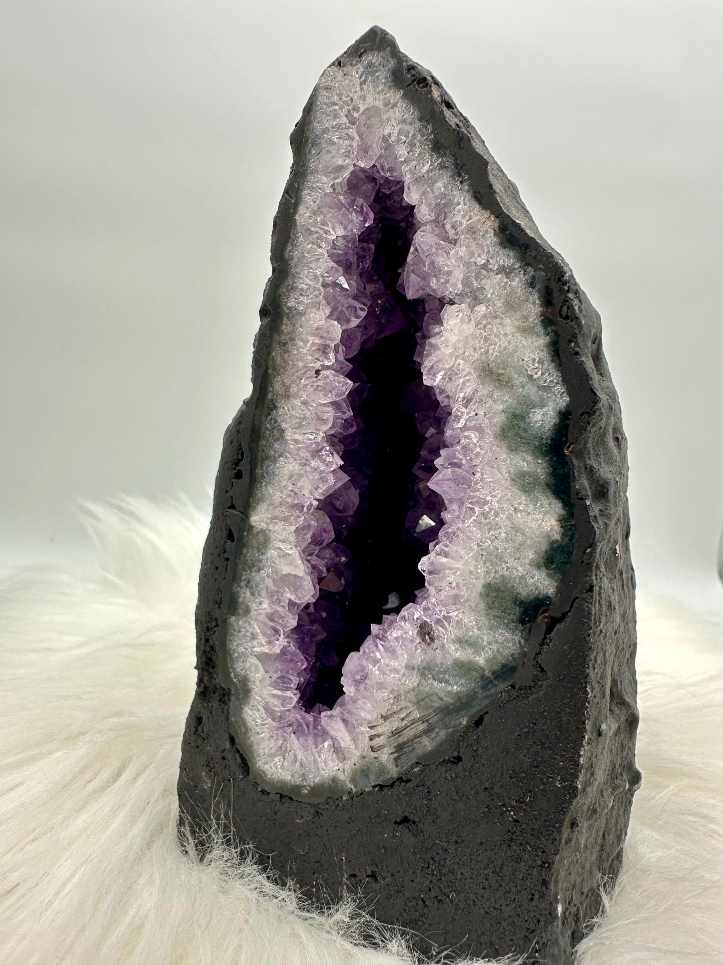 Amethystdruse aus Brasilien