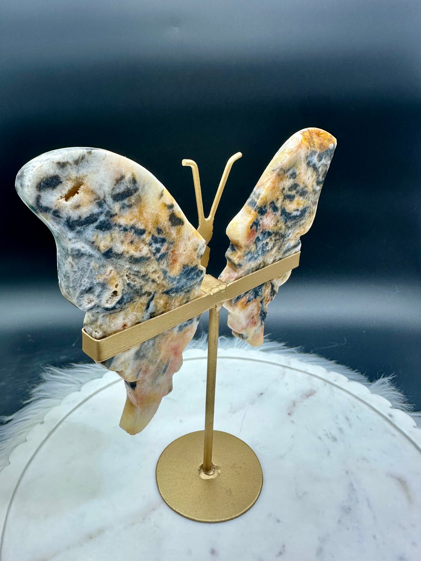 Achat Schmetterling groß