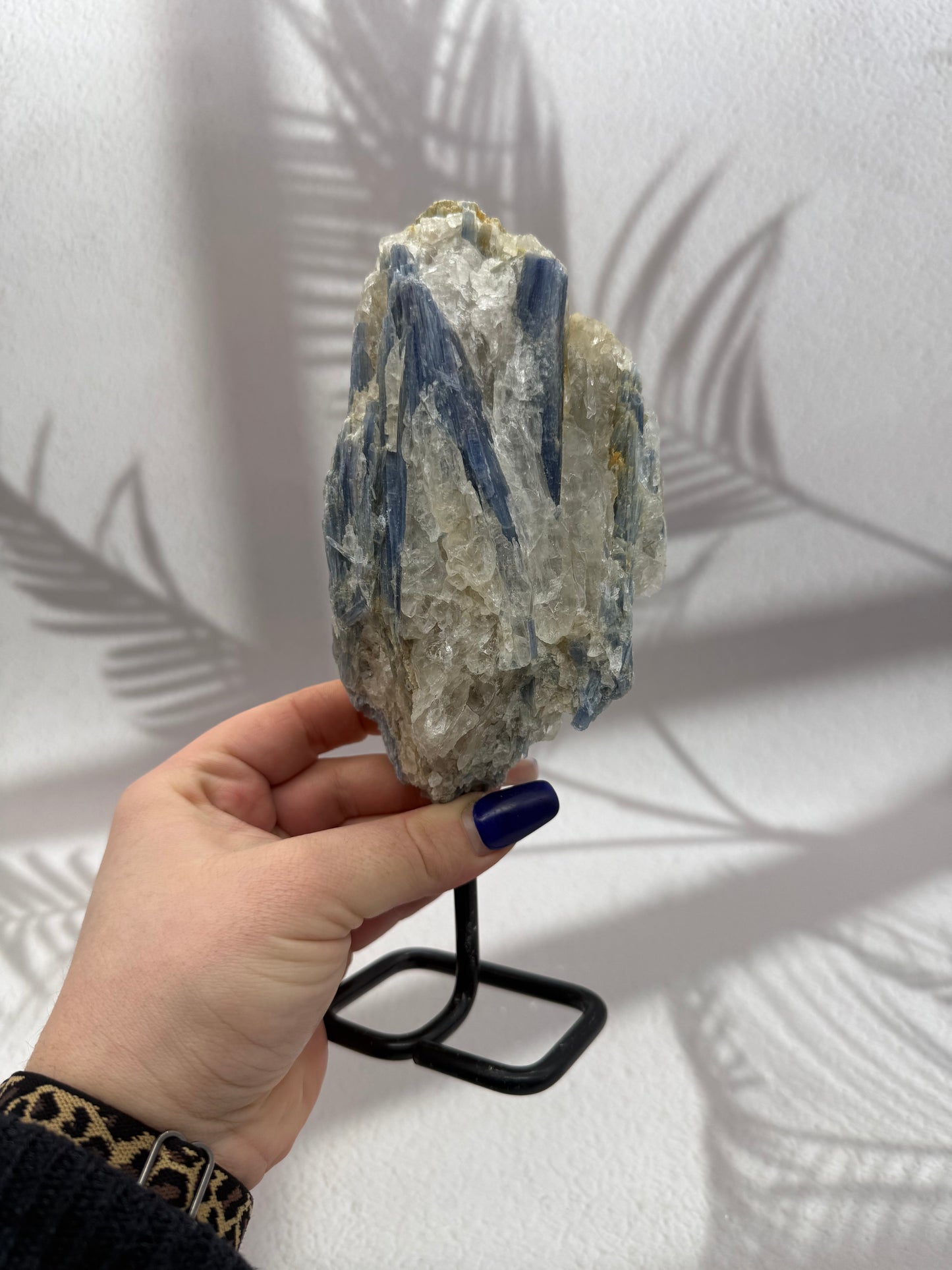 Blauer/Schwarzer Kyanit auf Ständer X