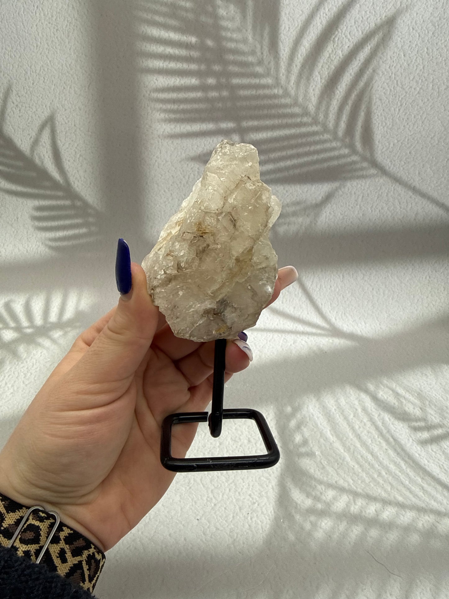 Krokodilquarz auf Ständer VI