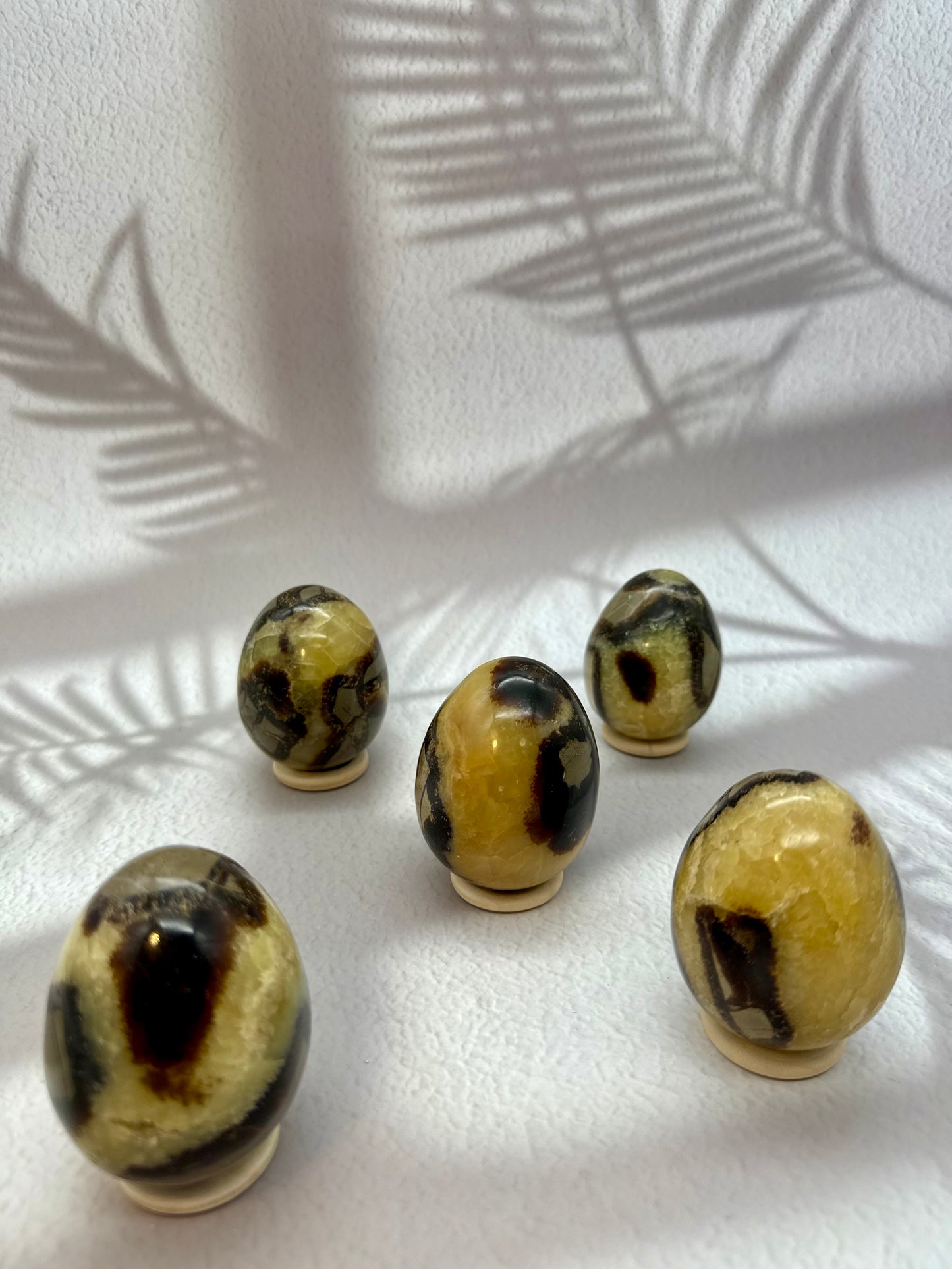 Septarie Eier