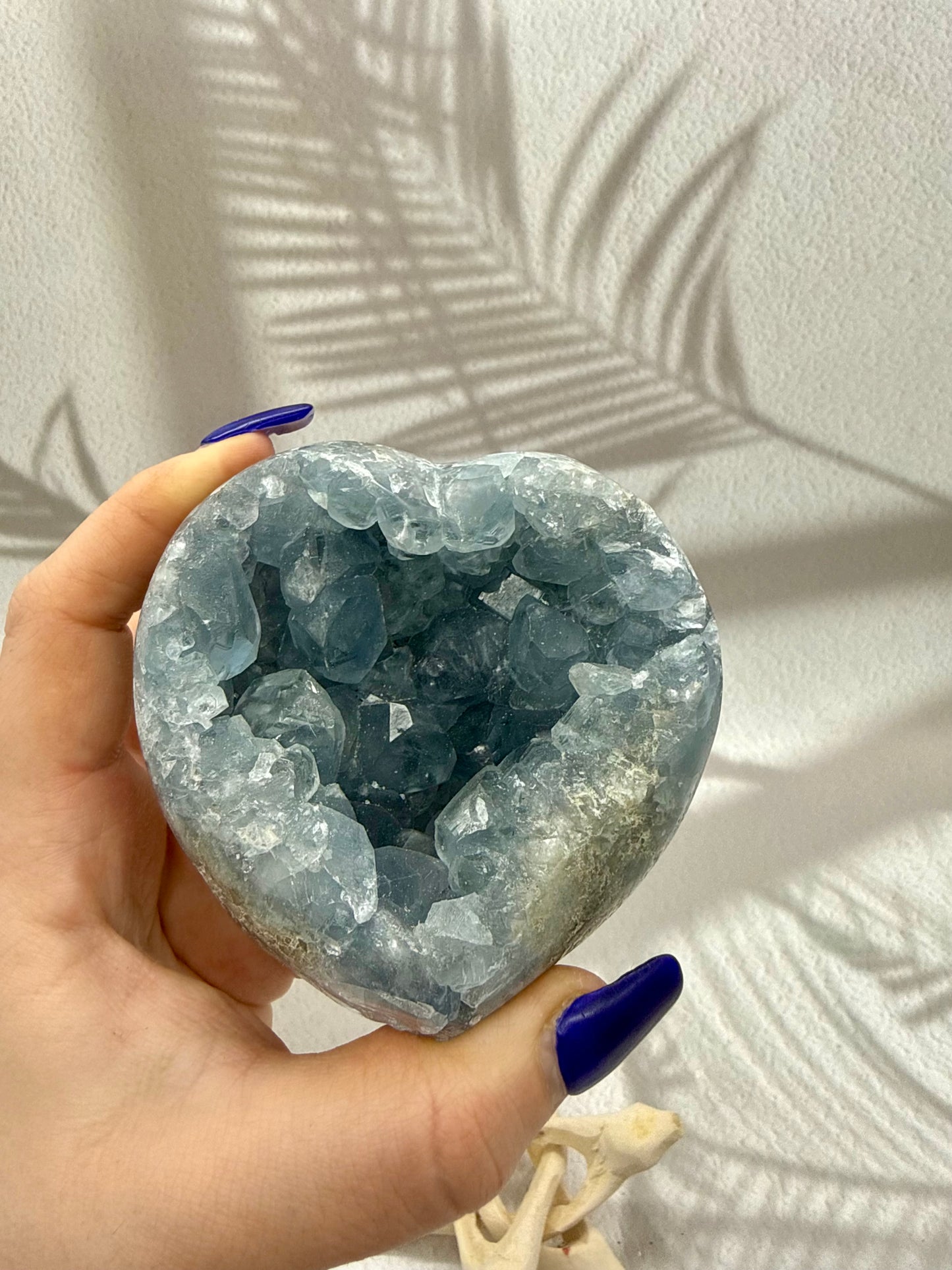 Coelestin Drusen Herz II