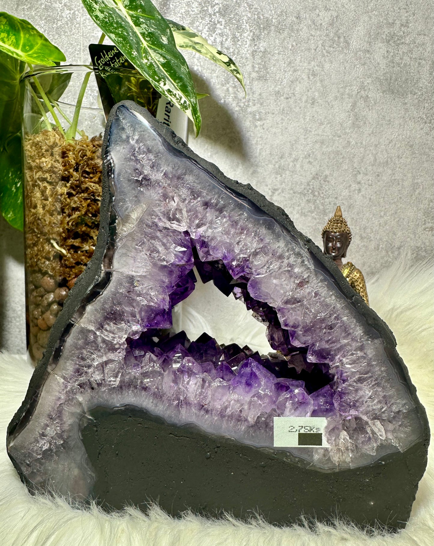 Amethyst Druse - Madagaskar