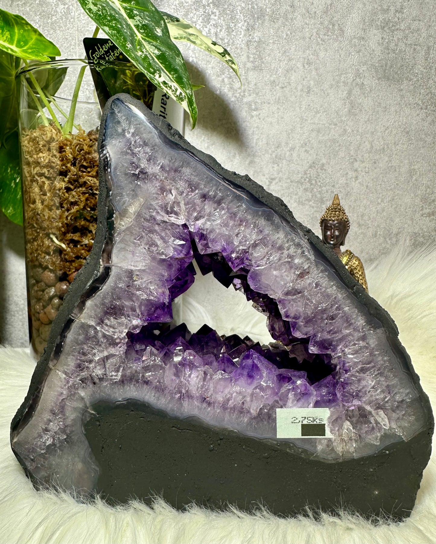 Amethyst Druse - Madagaskar