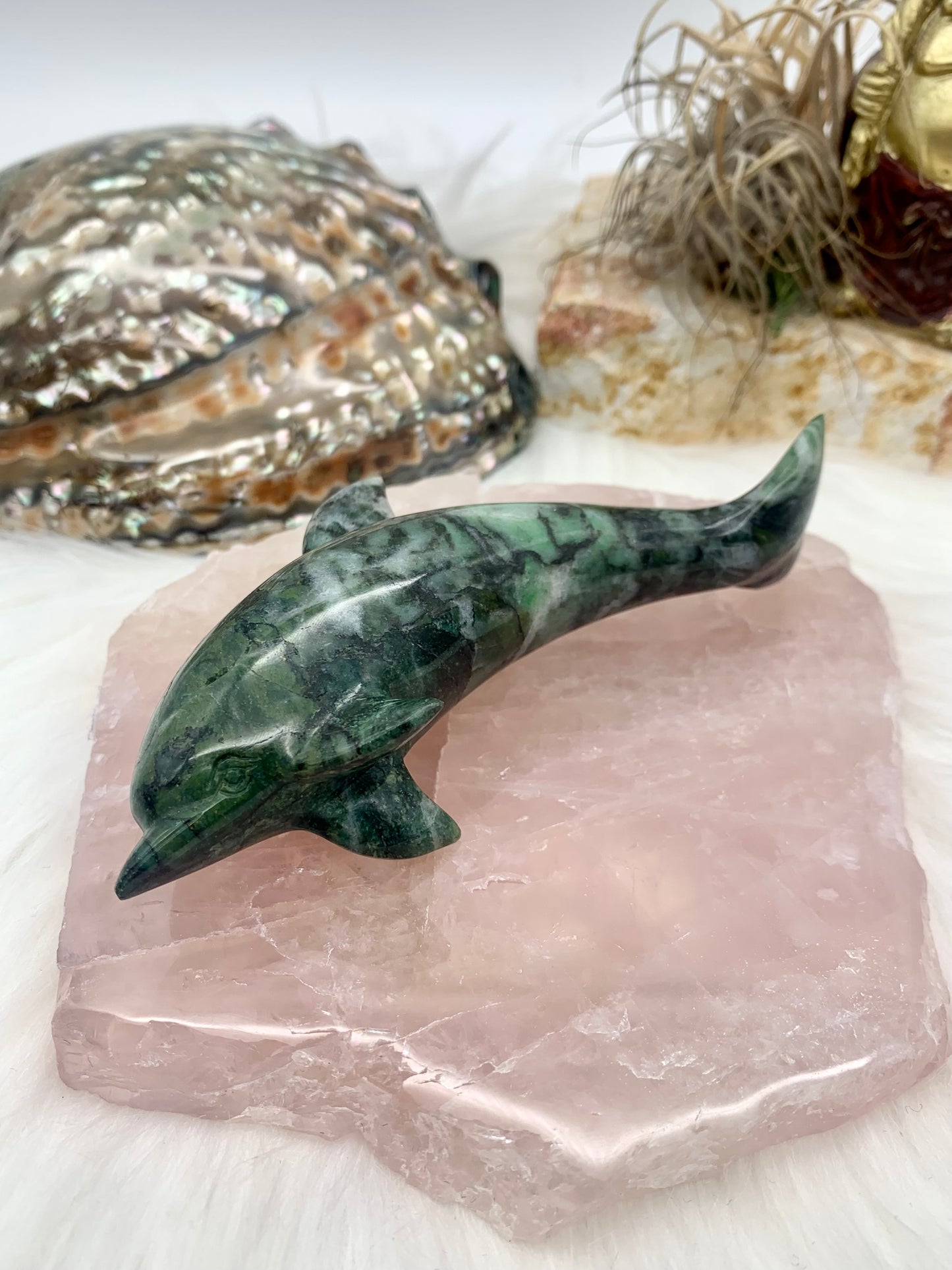 Moosachat Delphin