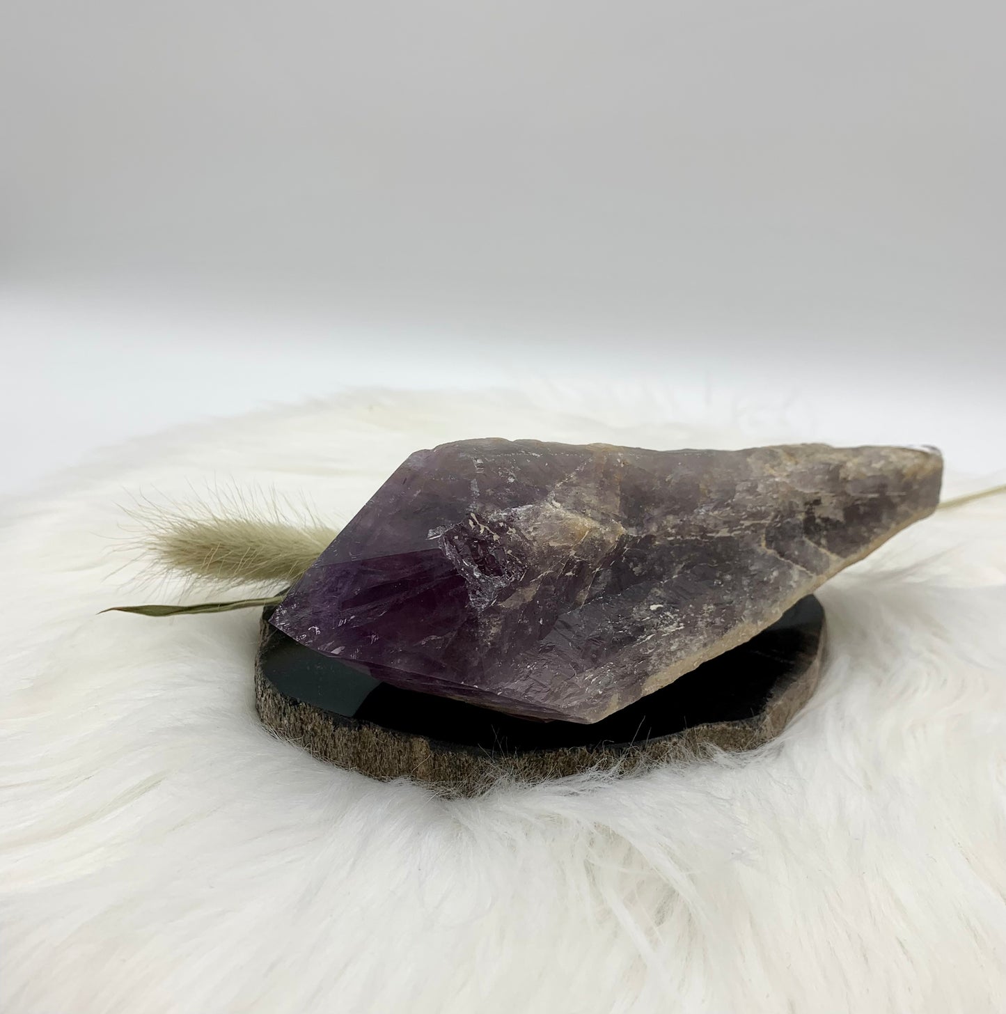 Amethyst Drachenzahn