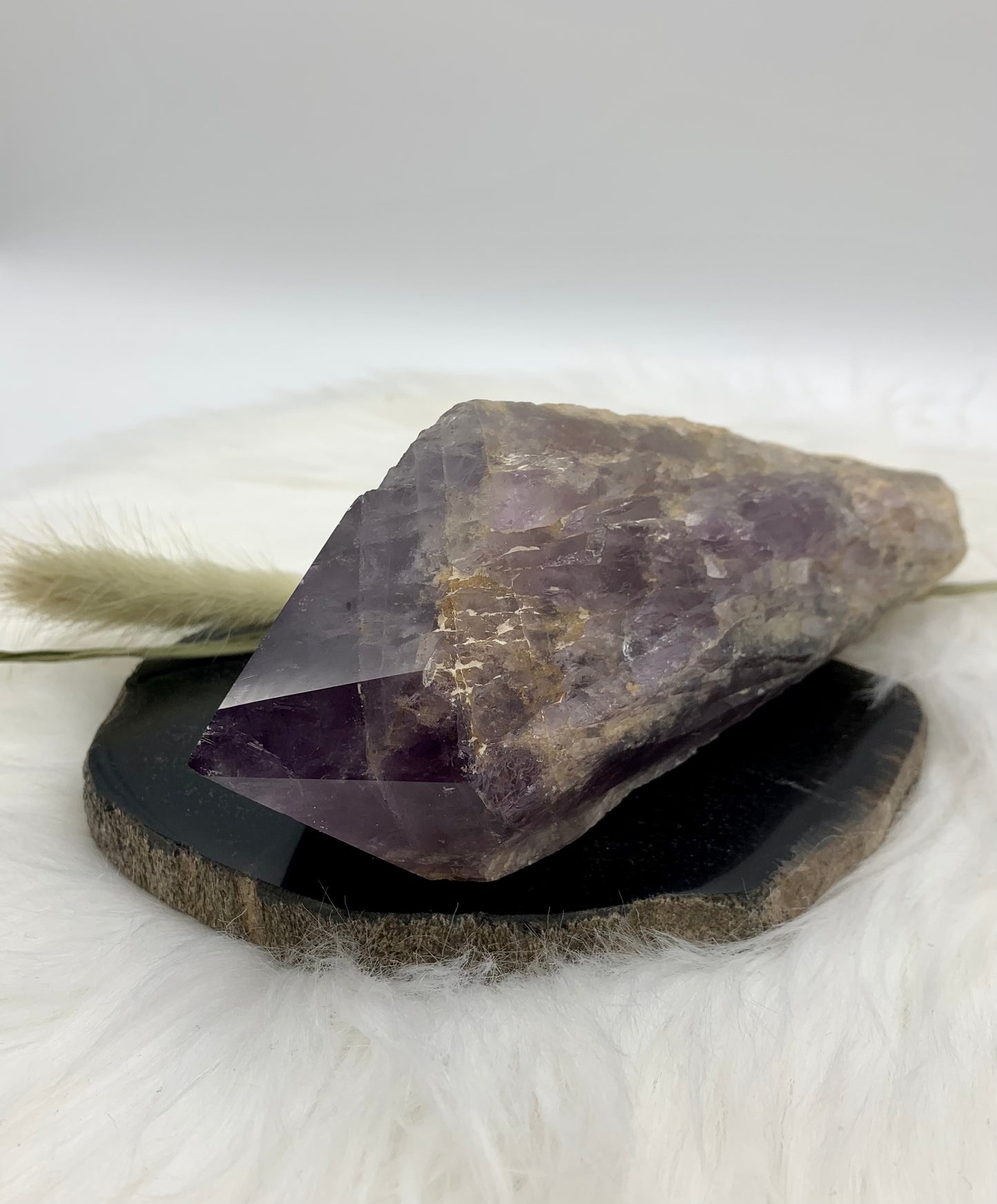 Amethyst Drachenzahn