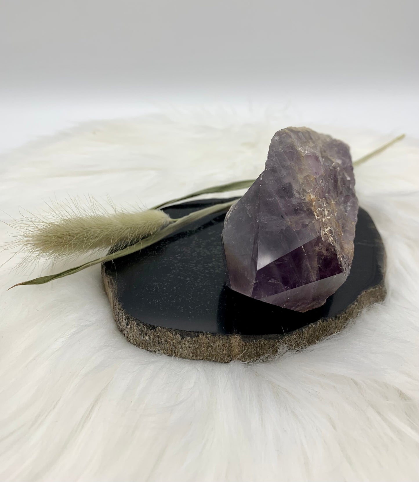 Amethyst Drachenzahn