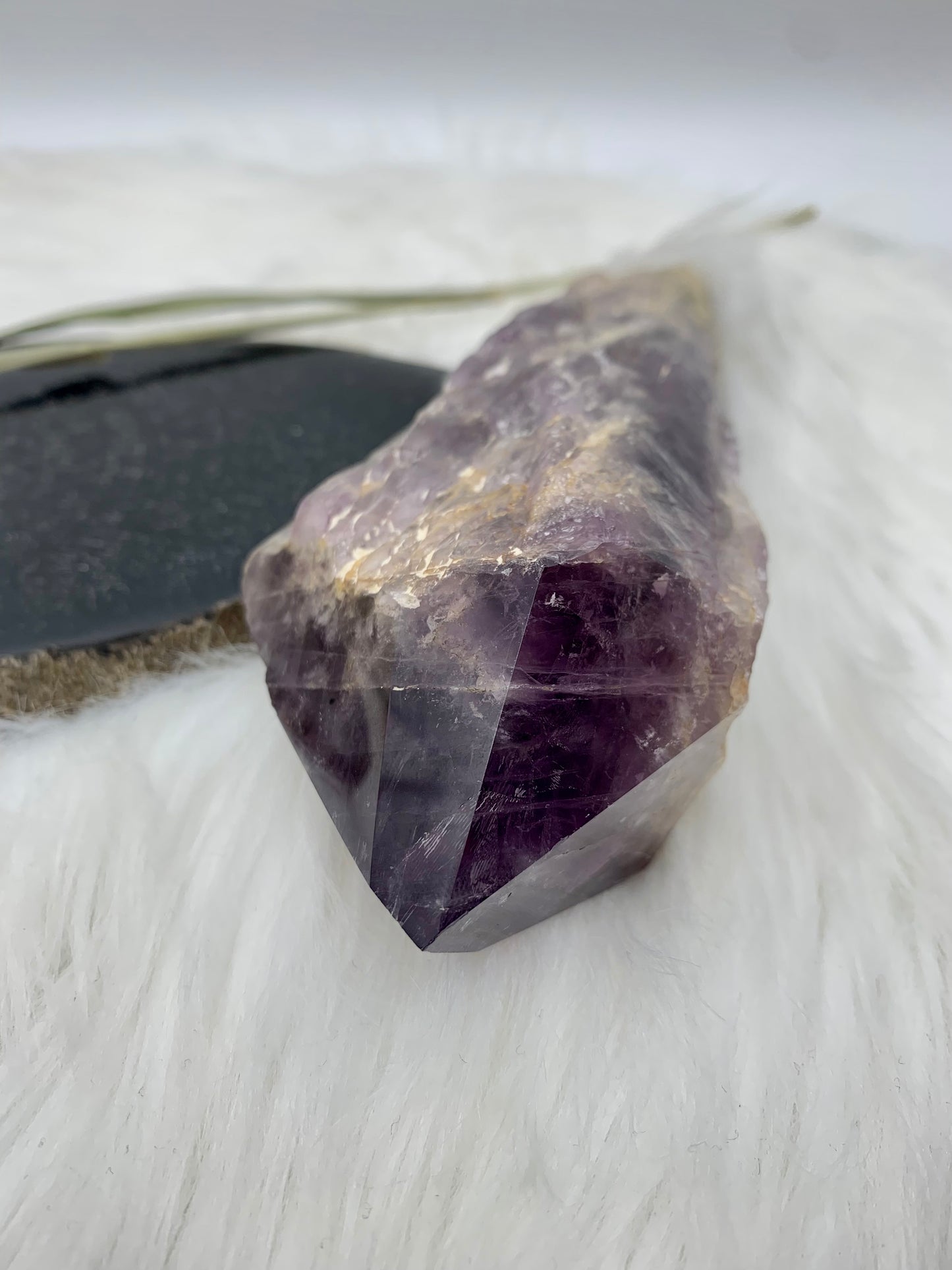 Amethyst Drachenzahn