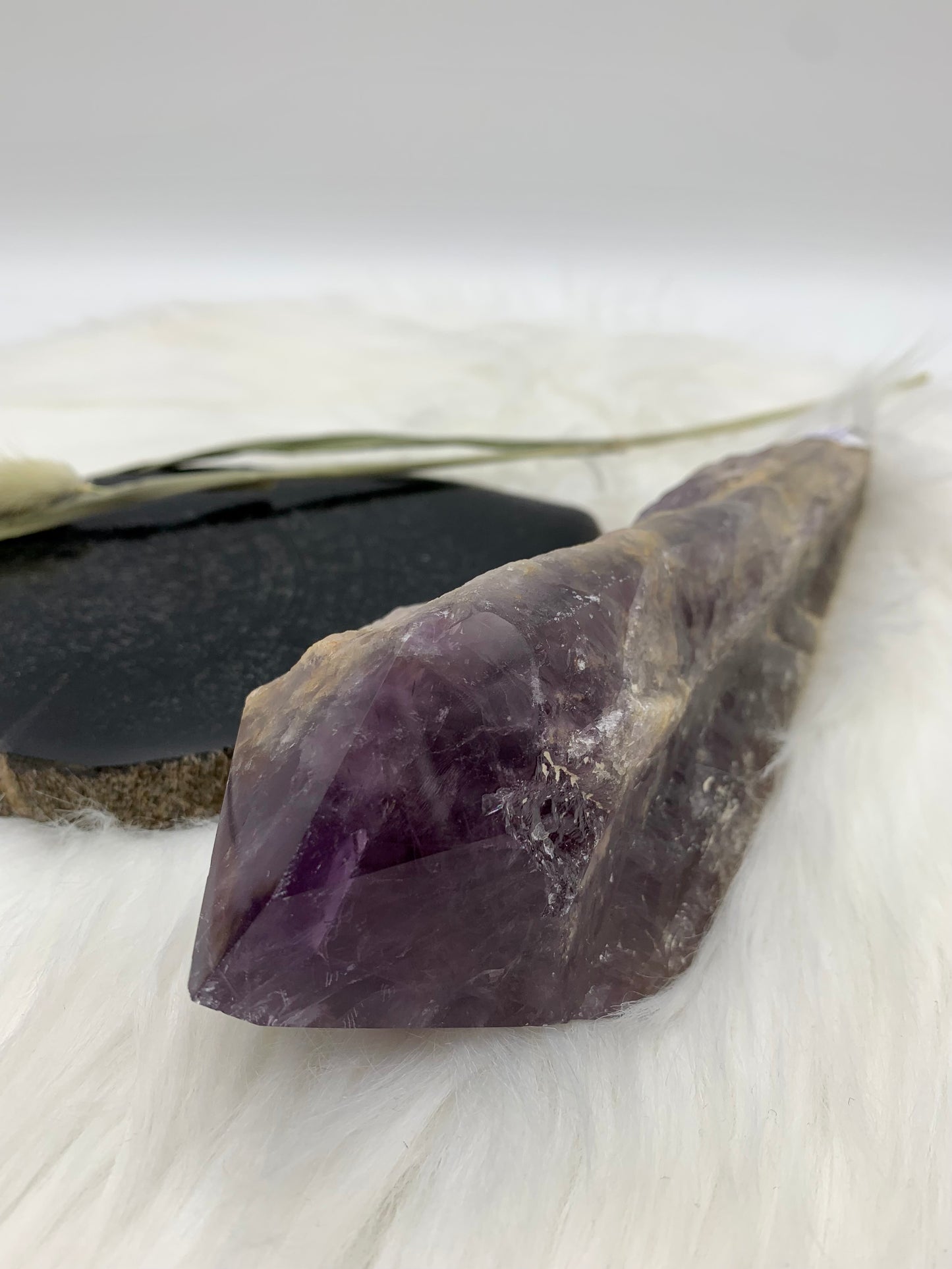 Amethyst Drachenzahn