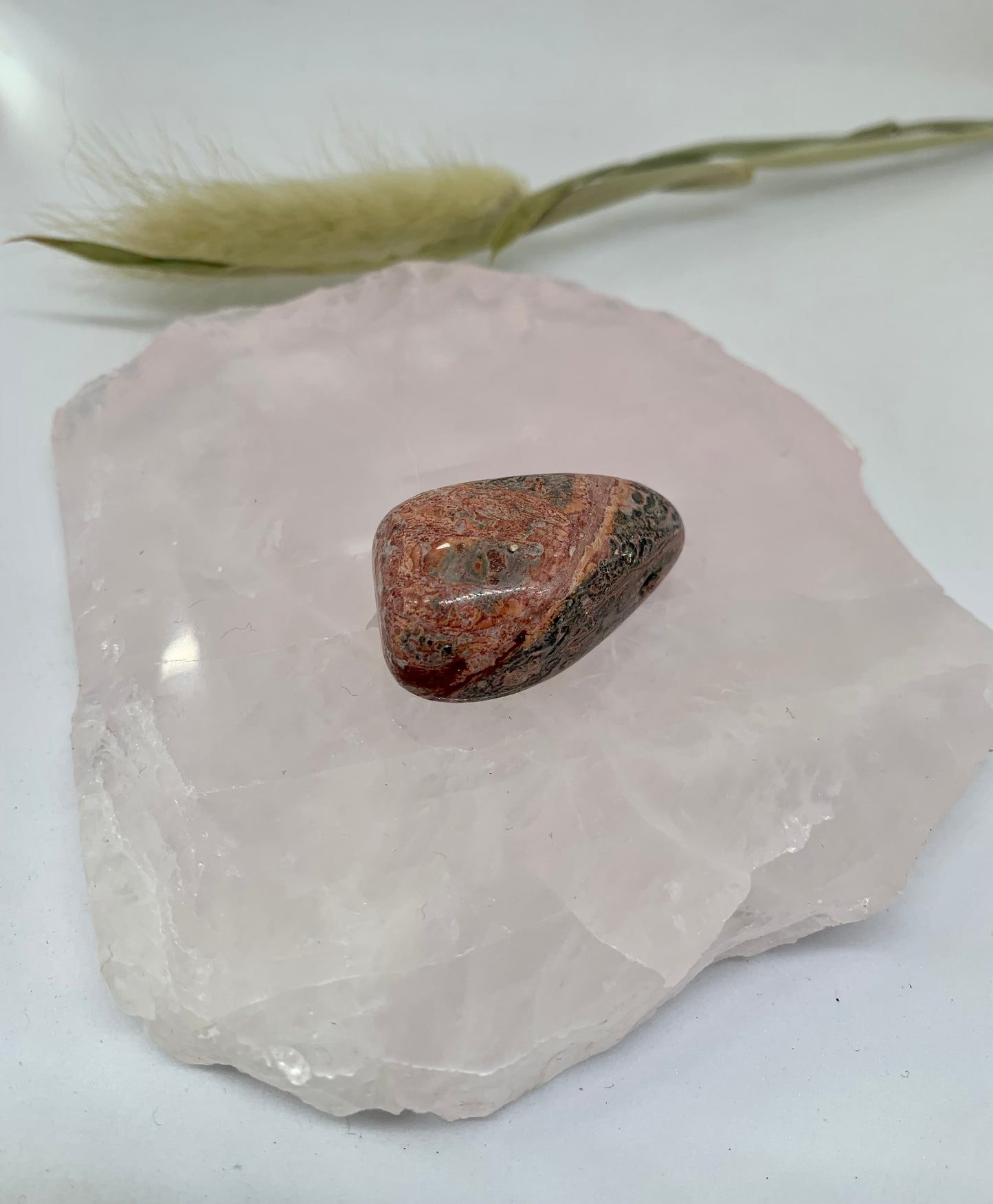 Leopardenjaspis Anhänger gebohrt