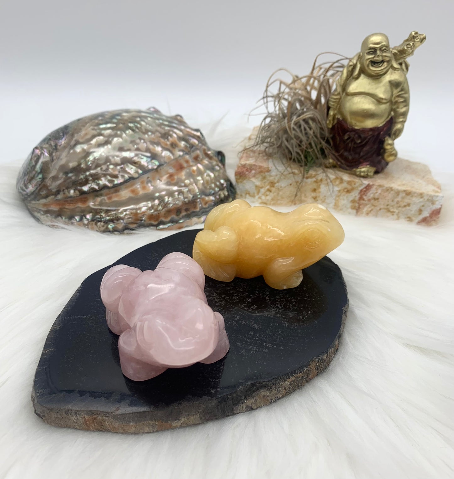 Frosch Carving