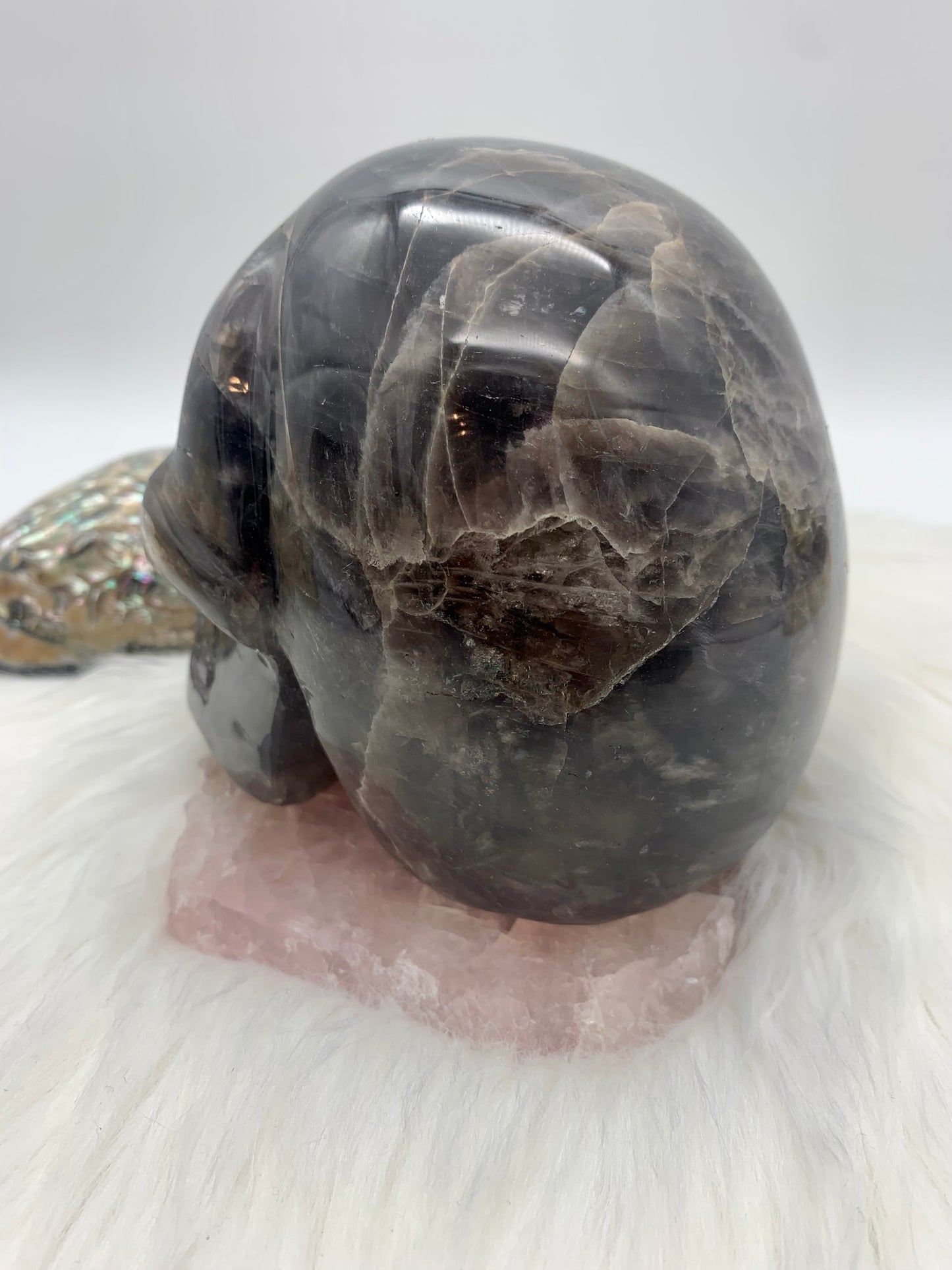 Schwarzer Mondstein Totenkopf/Schädel
