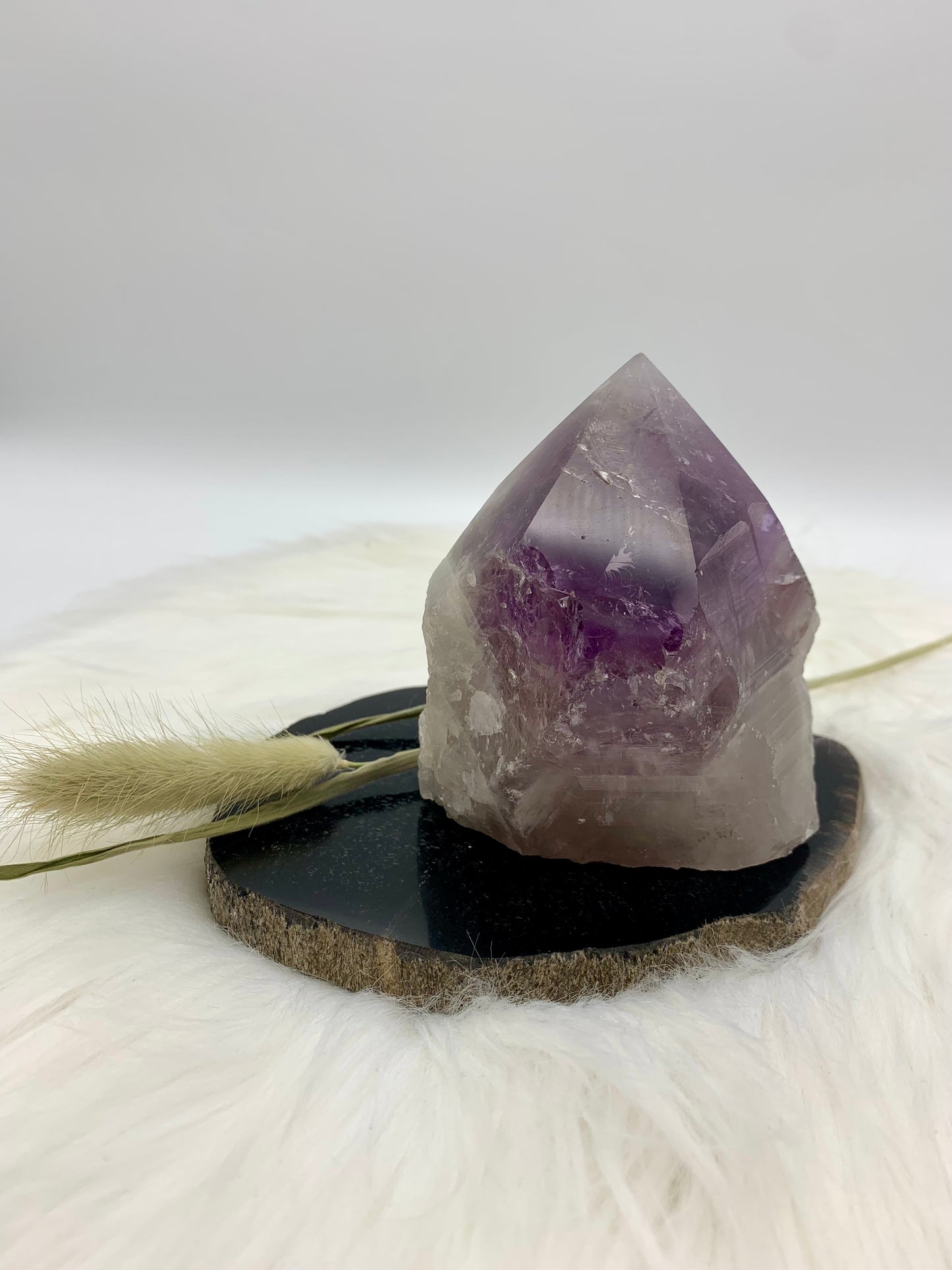 Amethyst Drachenzahn