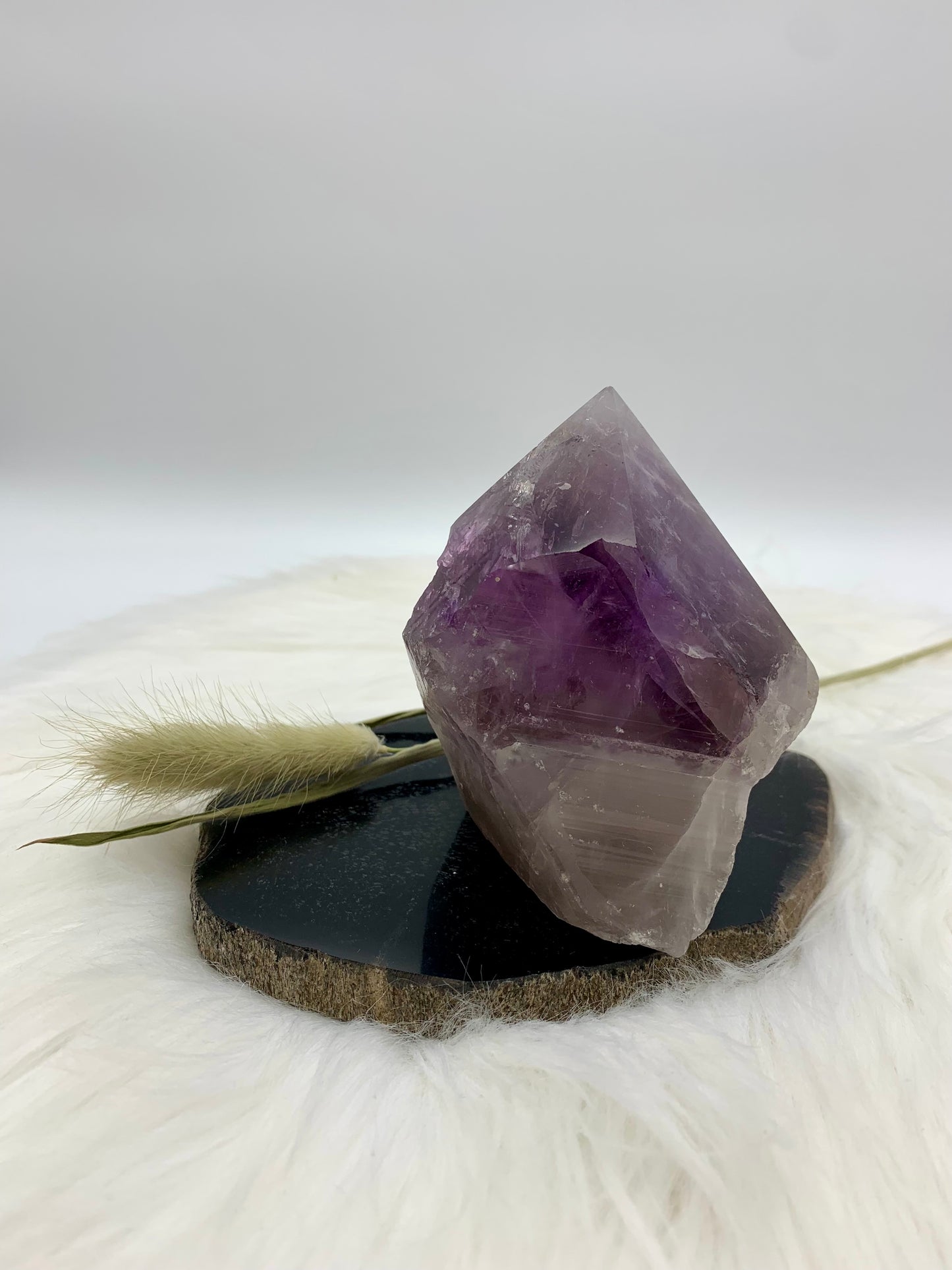 Amethyst Drachenzahn