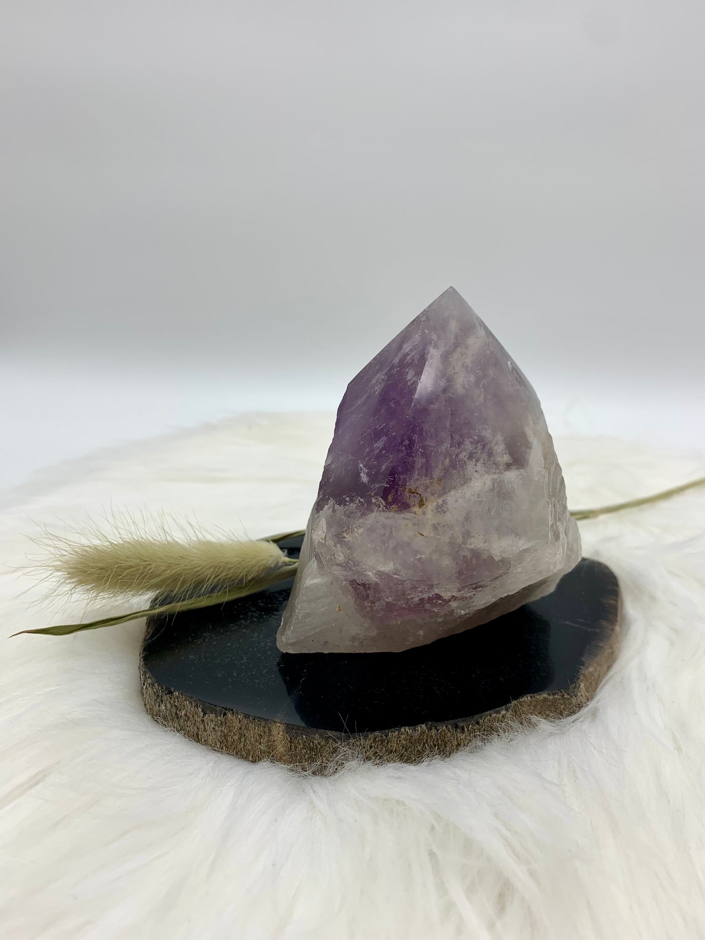 Amethyst Drachenzahn