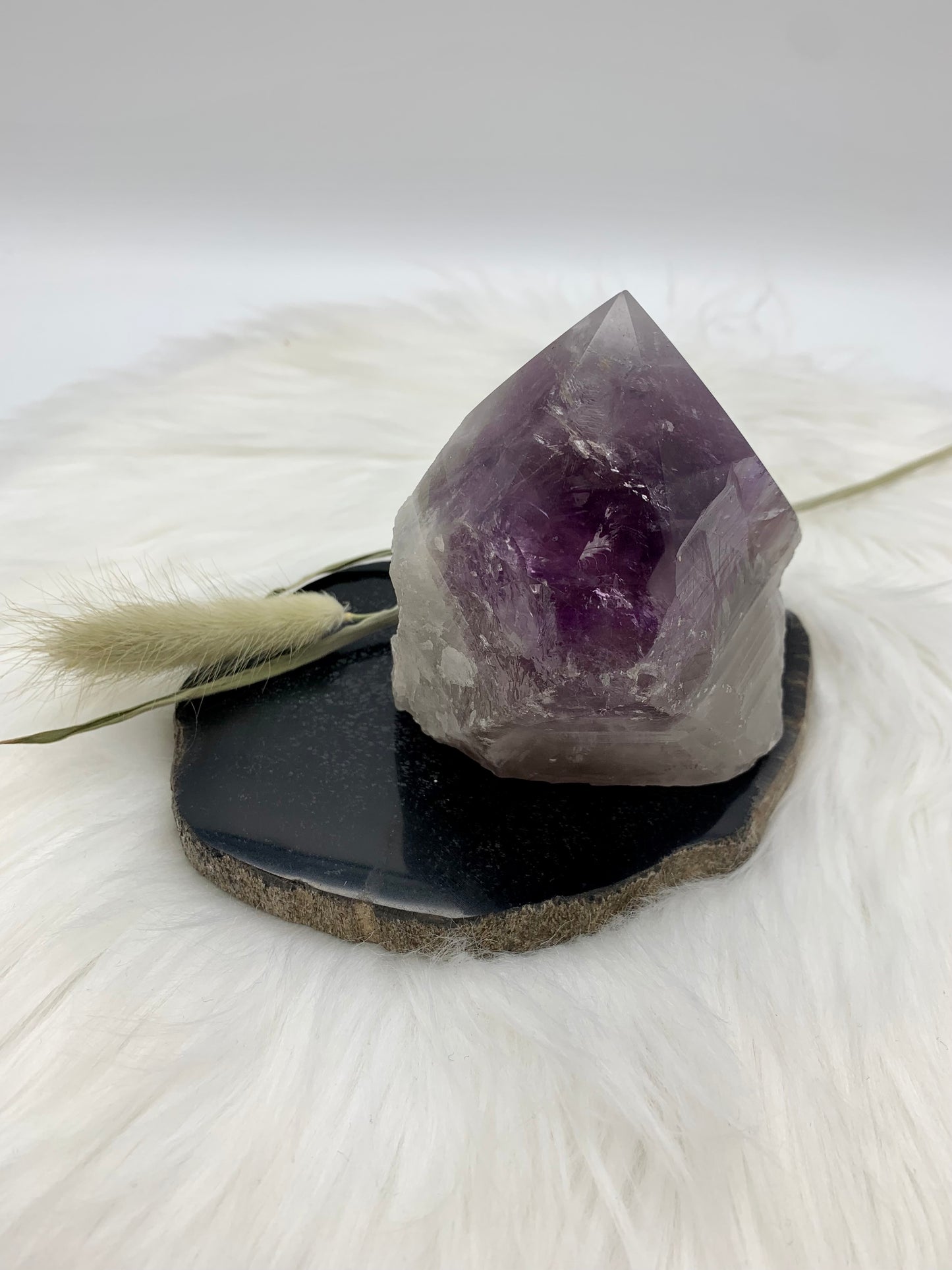 Amethyst Drachenzahn
