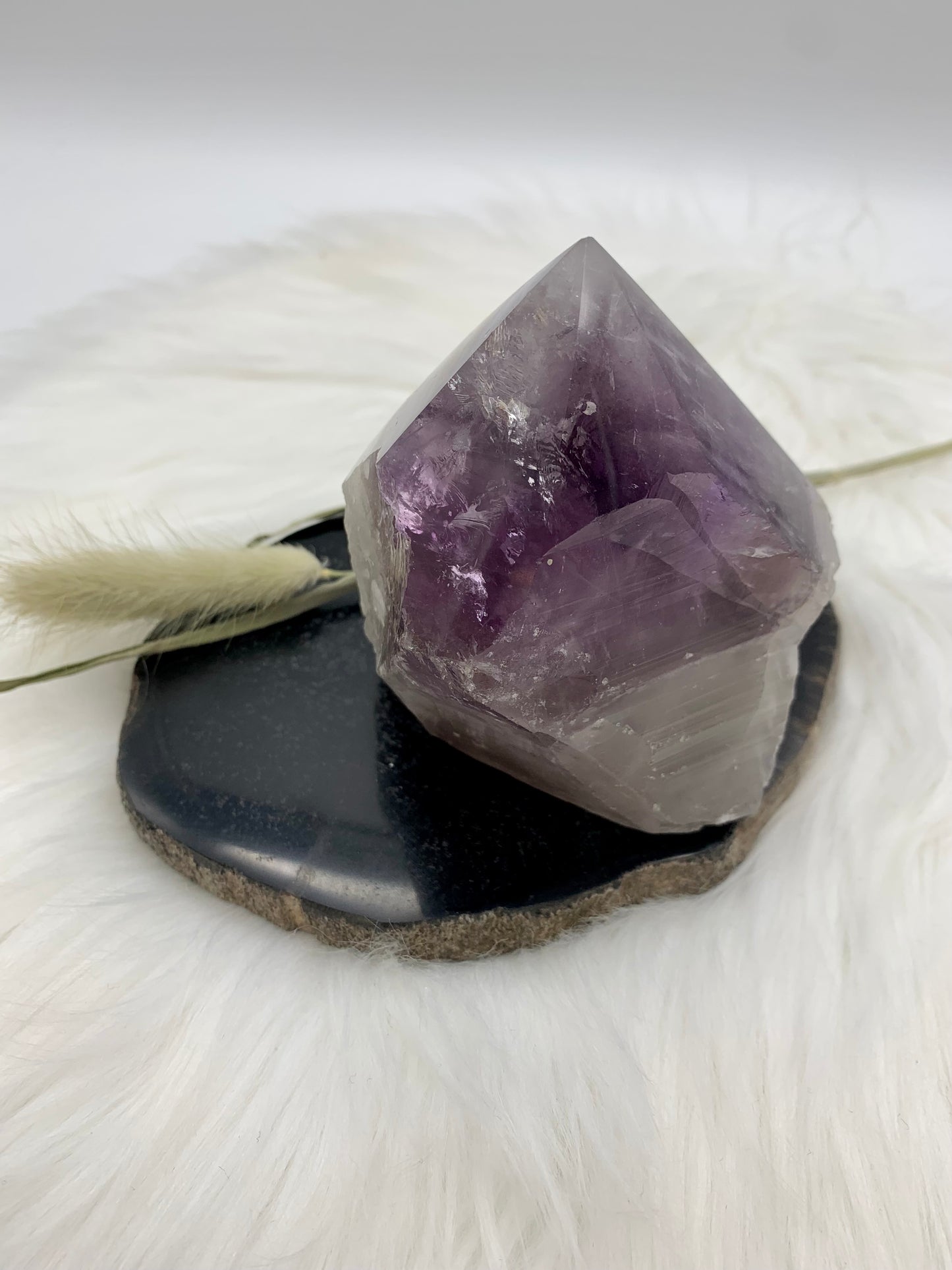 Amethyst Drachenzahn