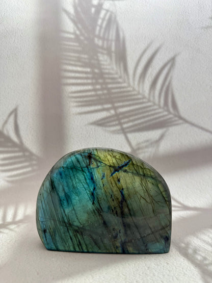 Labradorit Freiform IV