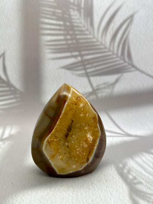 Achat Freiform - 1,1kg