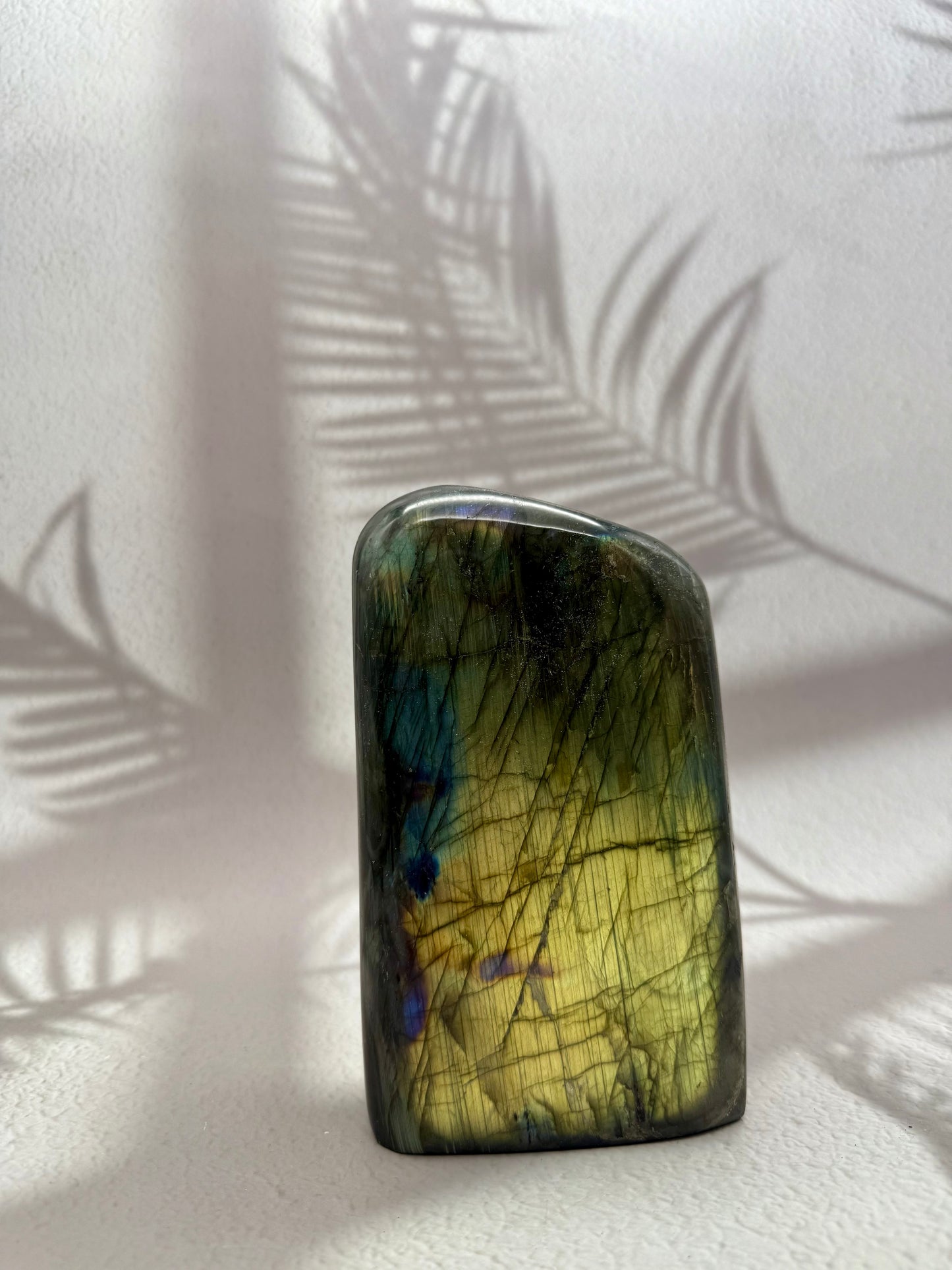 Labradorit Freiform VIII