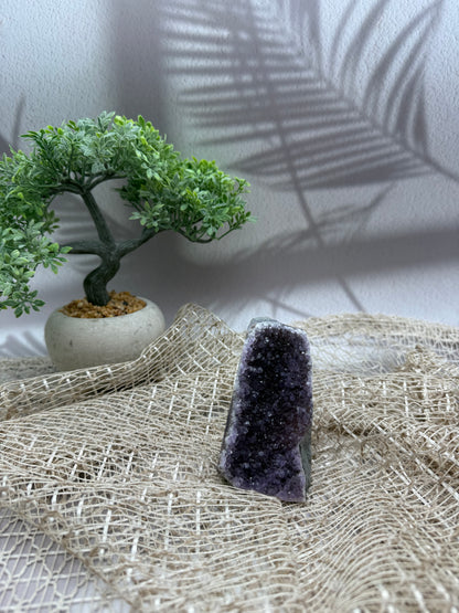 Amethyst Druse - III
