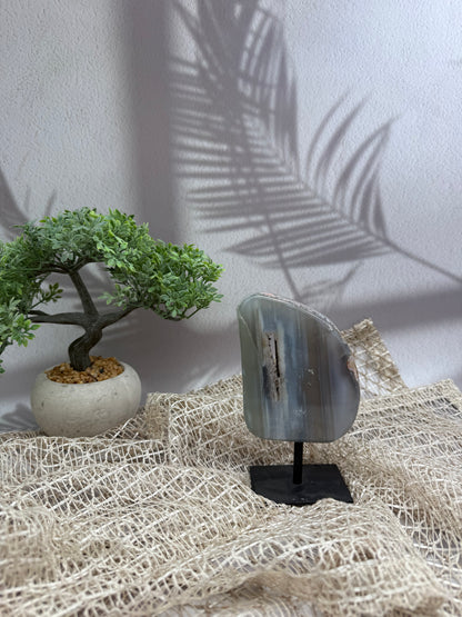 Achat auf Ständer - II