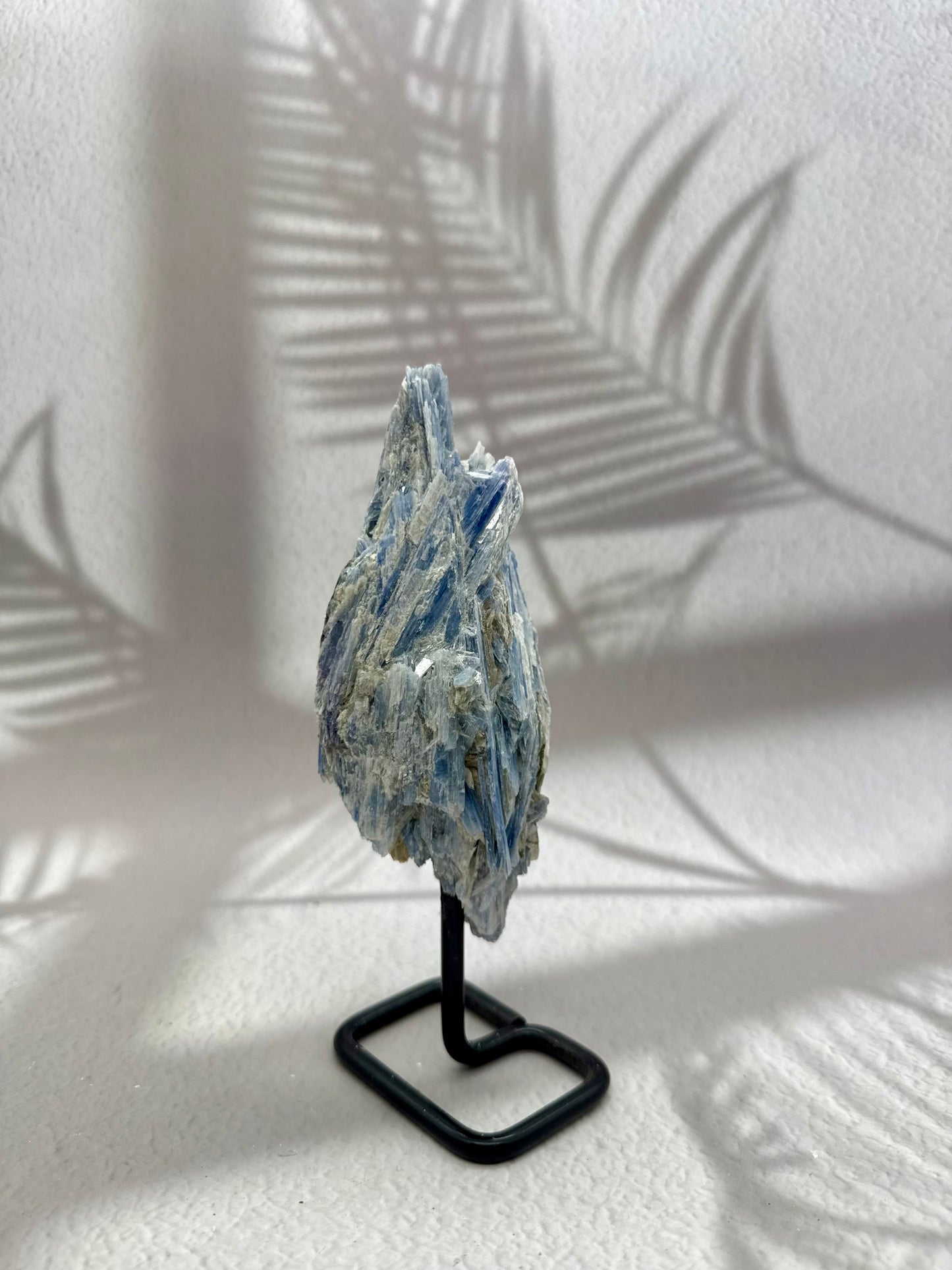 Blauer Kyanit II