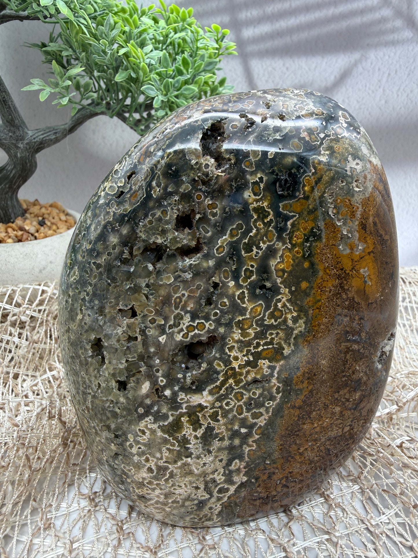 Ocean Jaspis Freiform