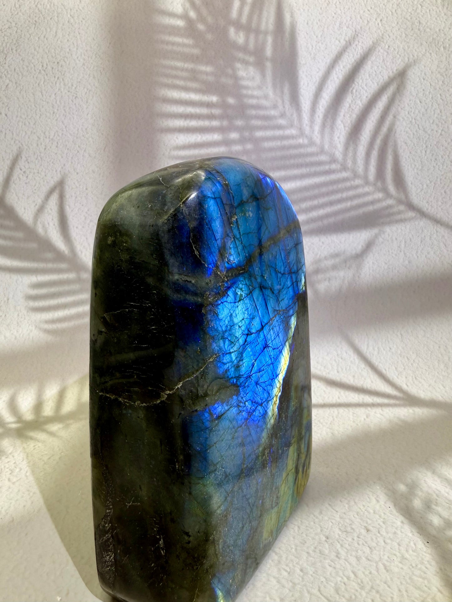 Labradorit Freiform X