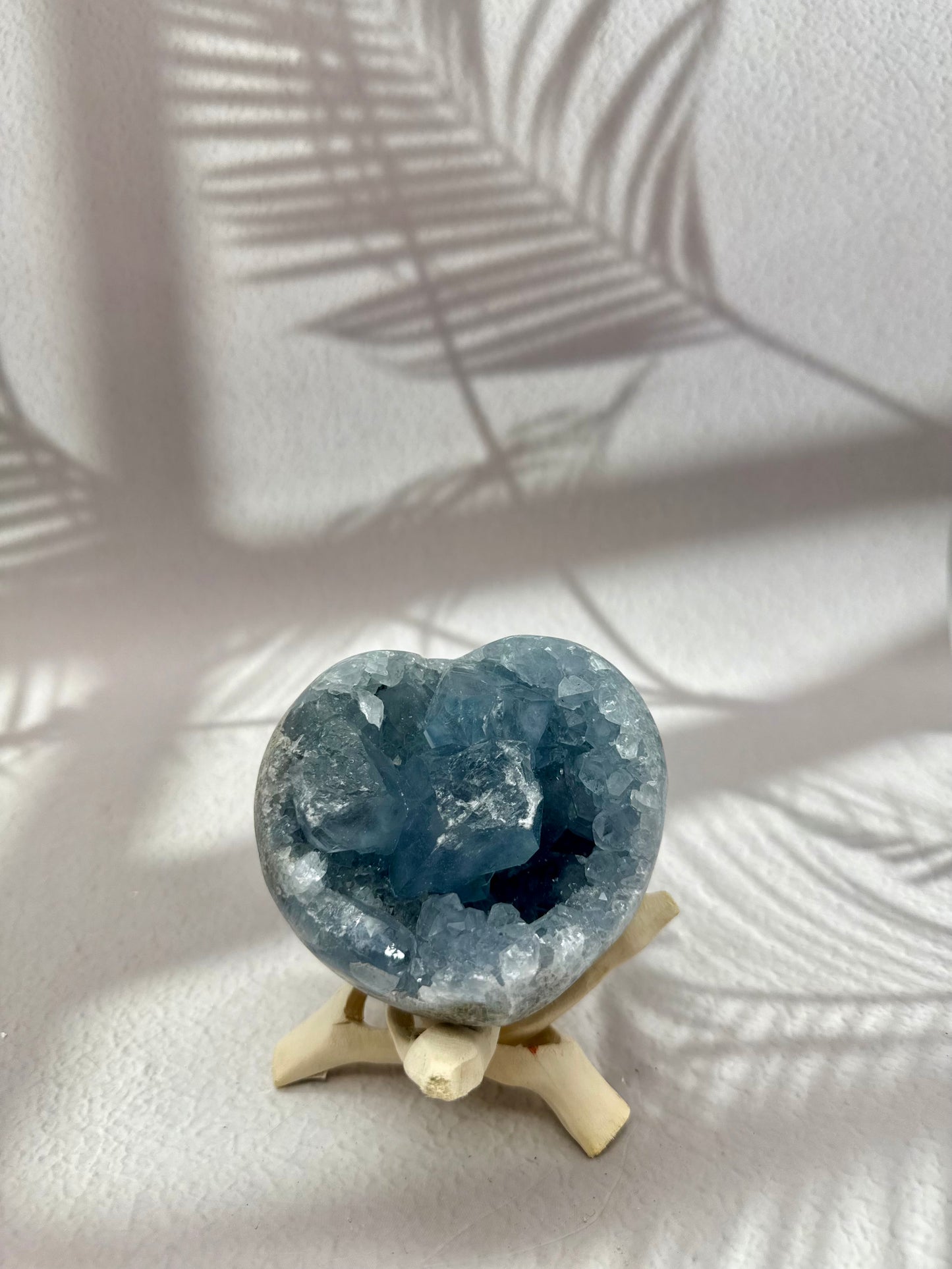 Coelestin Drusen Herz I