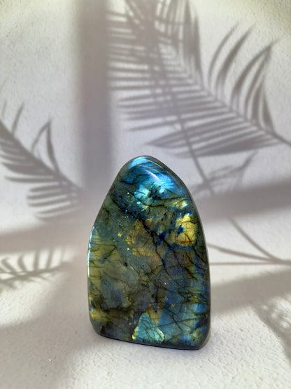 Labradorit Freiform VII