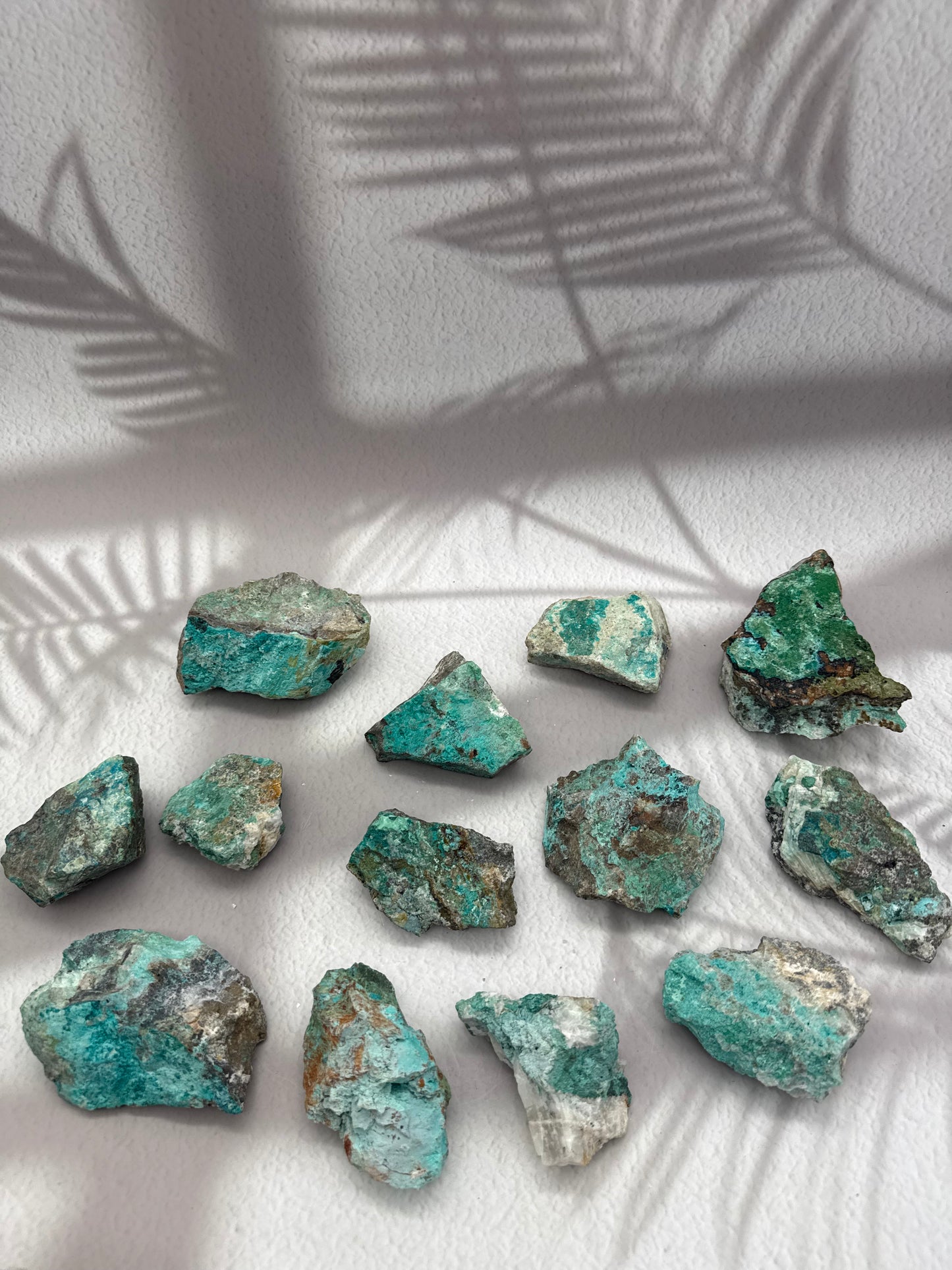 Chrysokoll Rohstücke Rarität