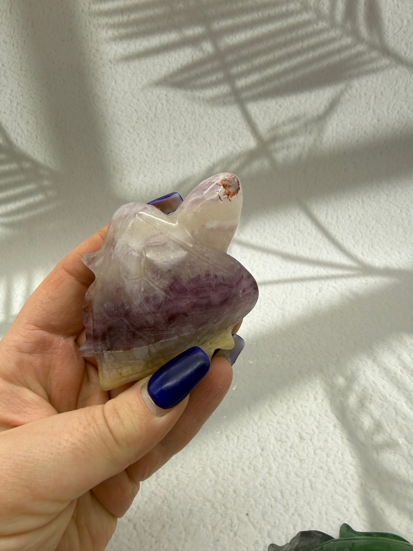 Fluorit Schildkröte 1-2