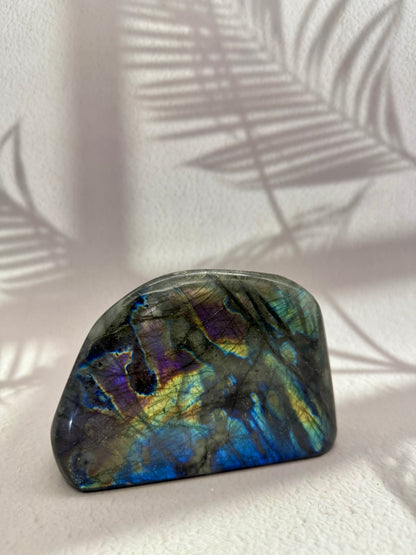 Labradorit Freiform V