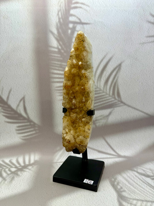 Gebrannter Citrin auf Ständer AAA