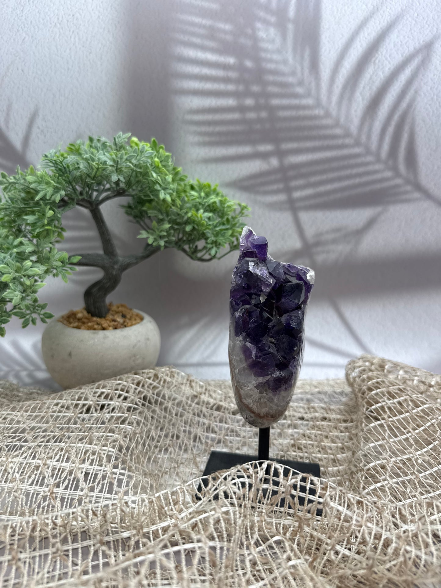 Sibirischer Amethyst auf Ständer - 1