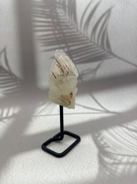 Krokodilquarz auf Ständer V